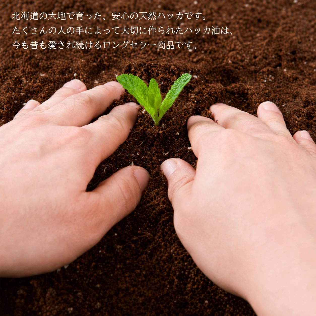 薄荷油 (ハッカ油)