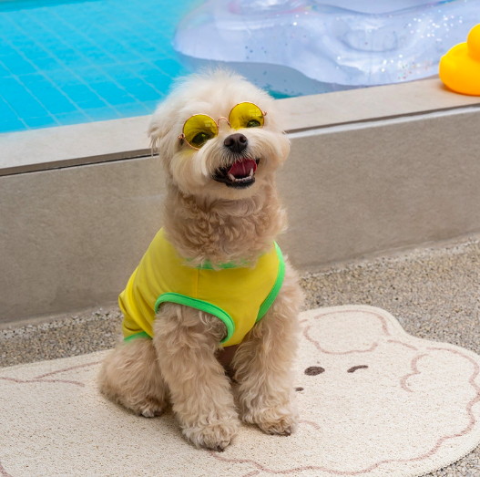 *Super Pet🇰🇷狗狗涼感背心(DG416) 尺碼S-6XL