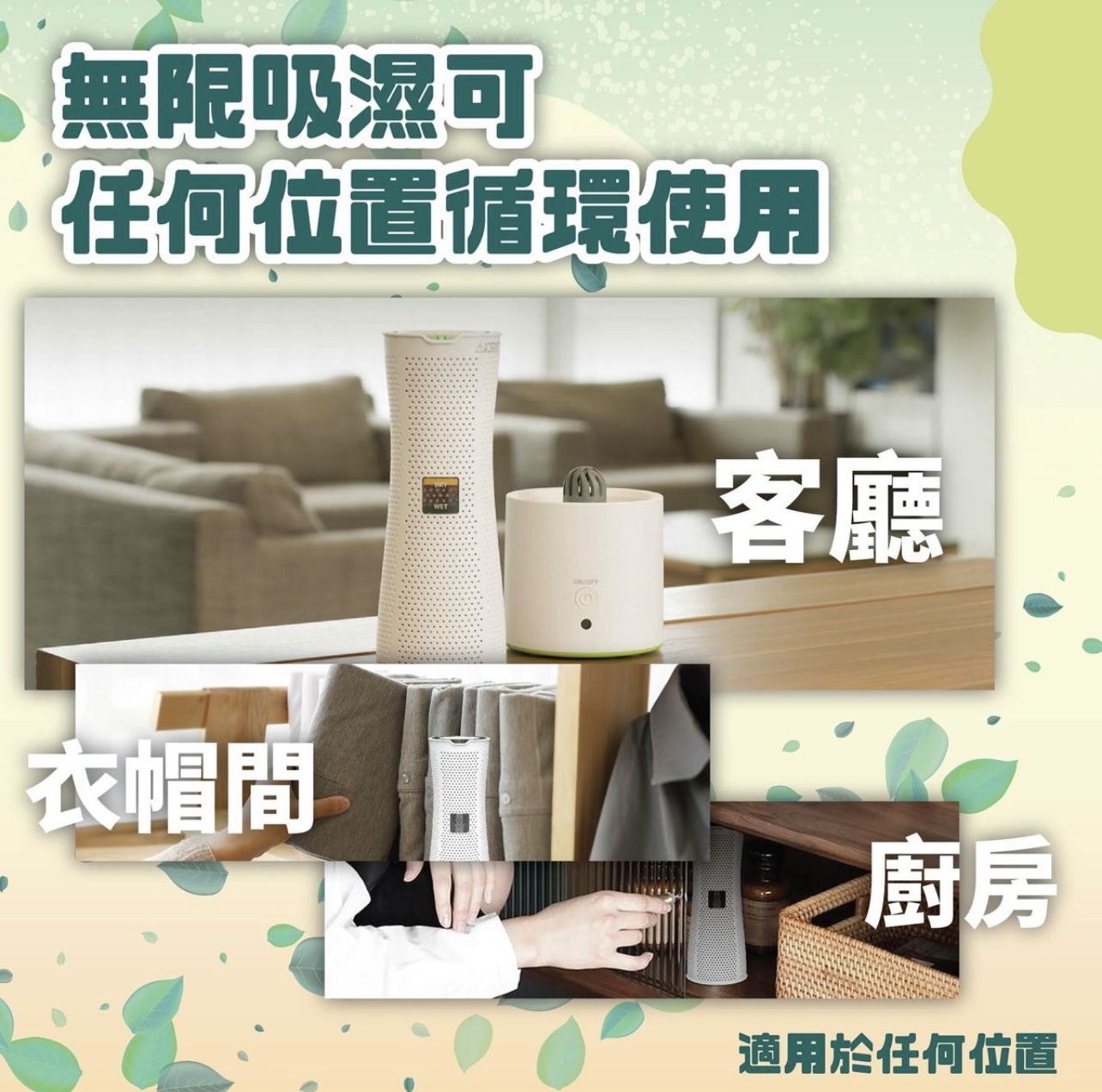 （約3月底到貨）🌈 Hayaku Tree 無限吸濕樹連烘乾機座套 💕