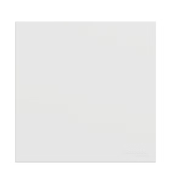 施耐德 奐然AvatarOn C 白 單位 空白面蓋