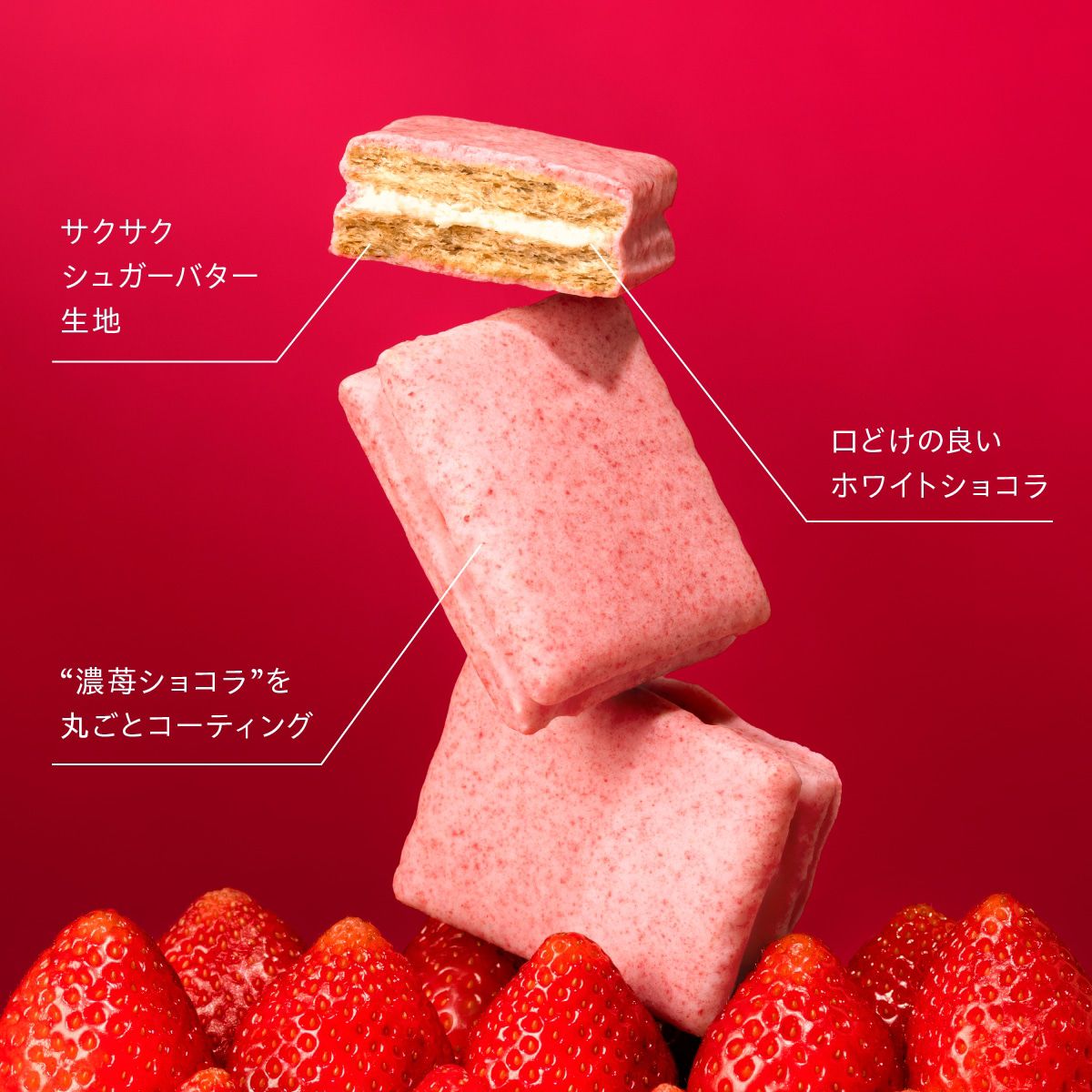 🌸 Sugar Butter Sand Tree 春季限定 ｜草莓朱古力奶油夾心餅