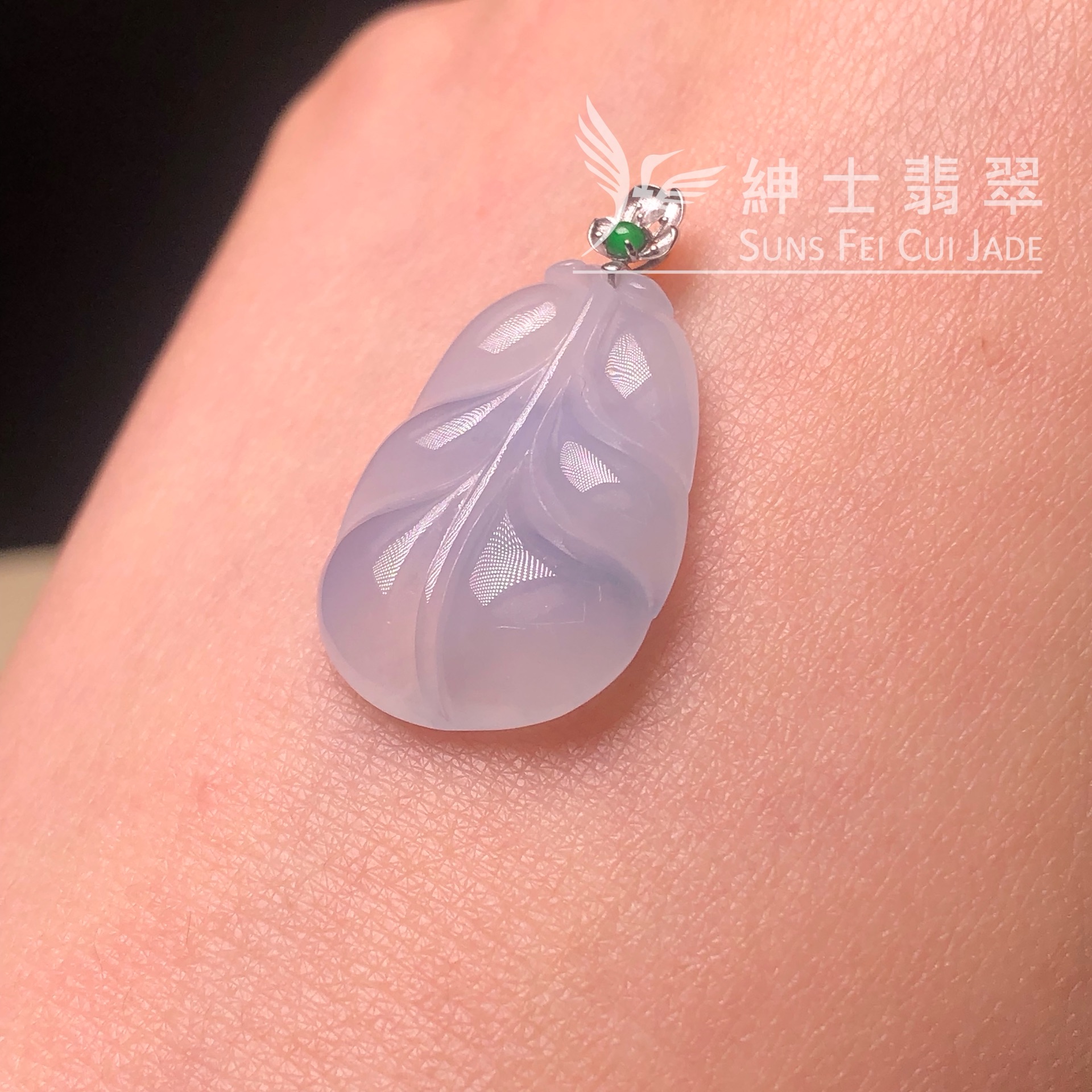 YK01094 冰茄紫玉葉