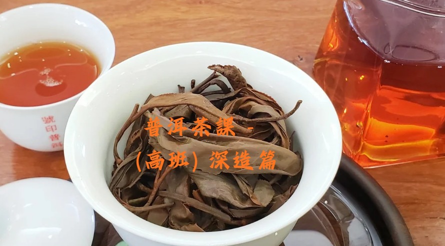 一天課 - 普洱茶 - 第三班別 (高班) ＝＞深造篇”成為普洱茶達人” (4人成班)