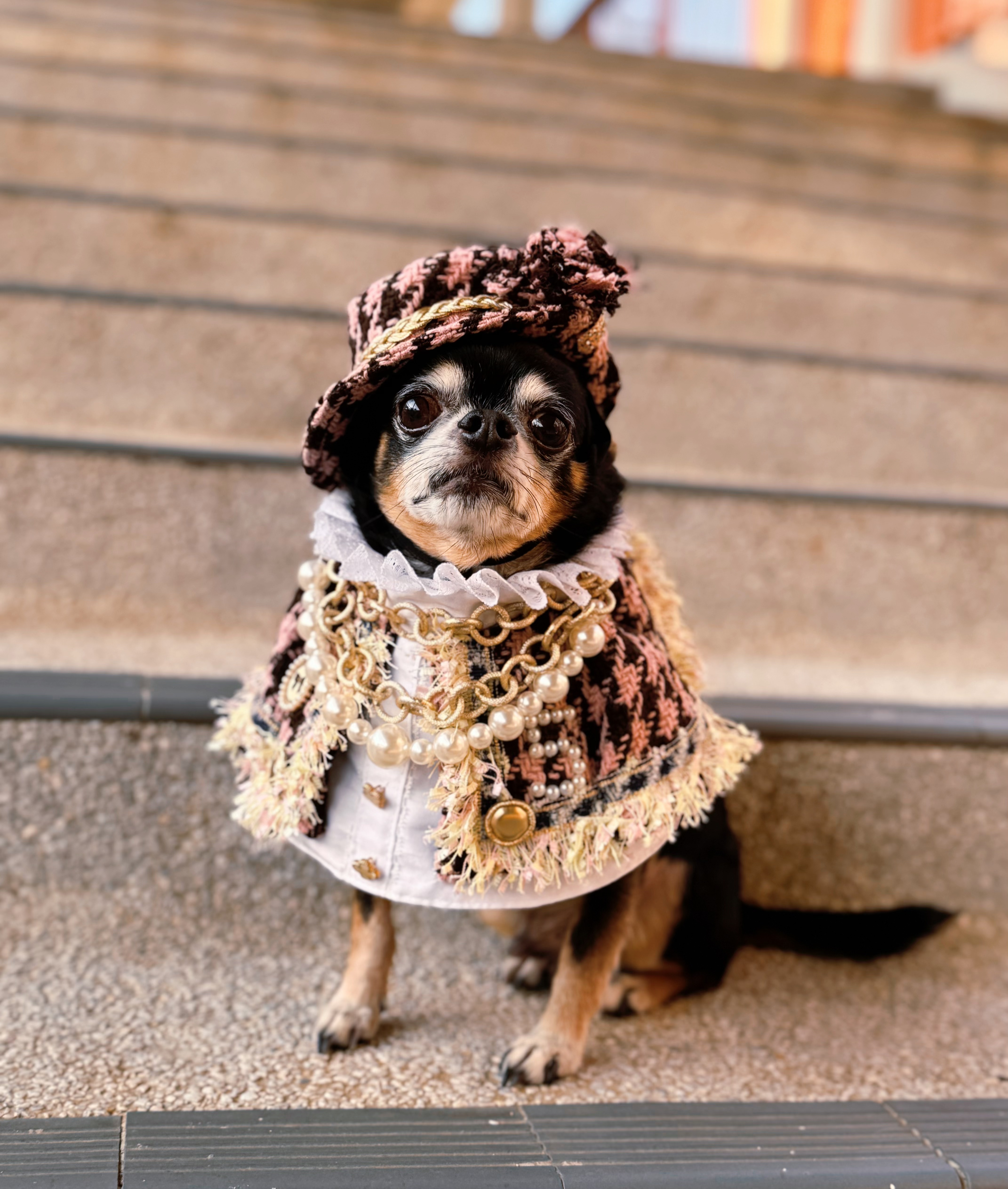 寵物原創設計 低調奢華小香風 寵物頸飾