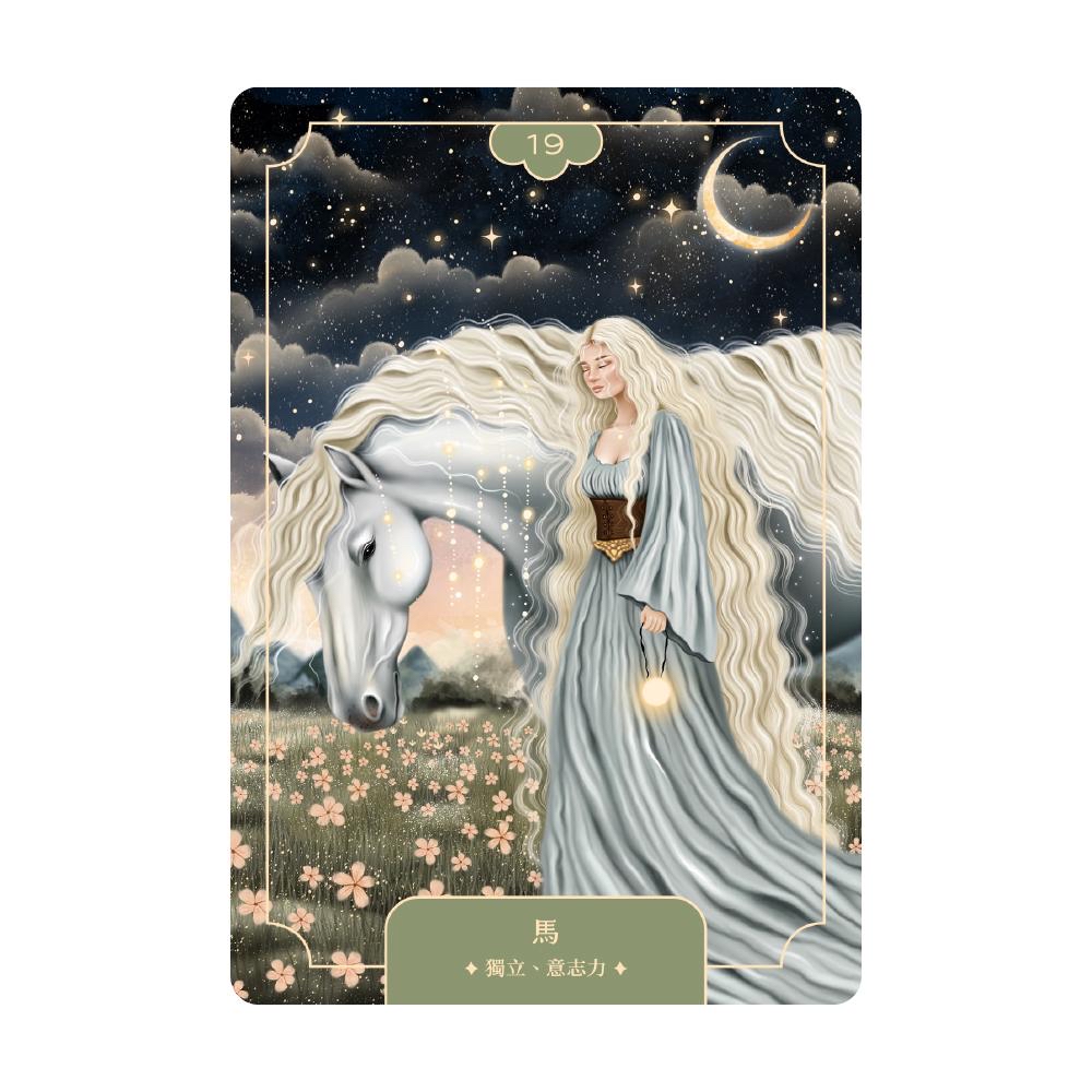 動物力量療癒卡