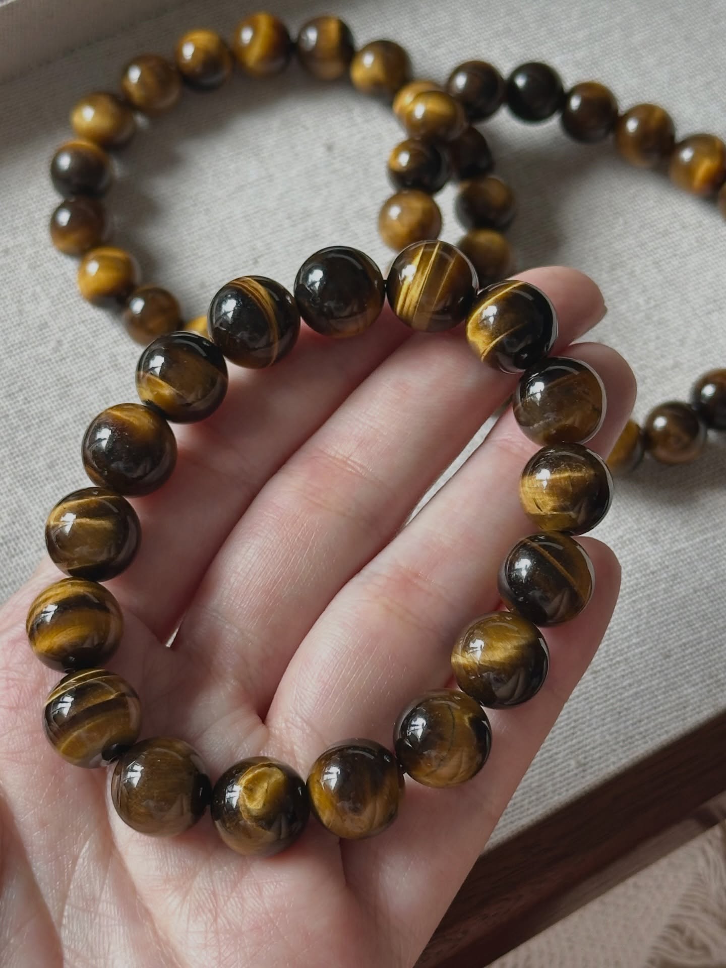 黄虎眼 ｜ Yellow Tiger’s eyes