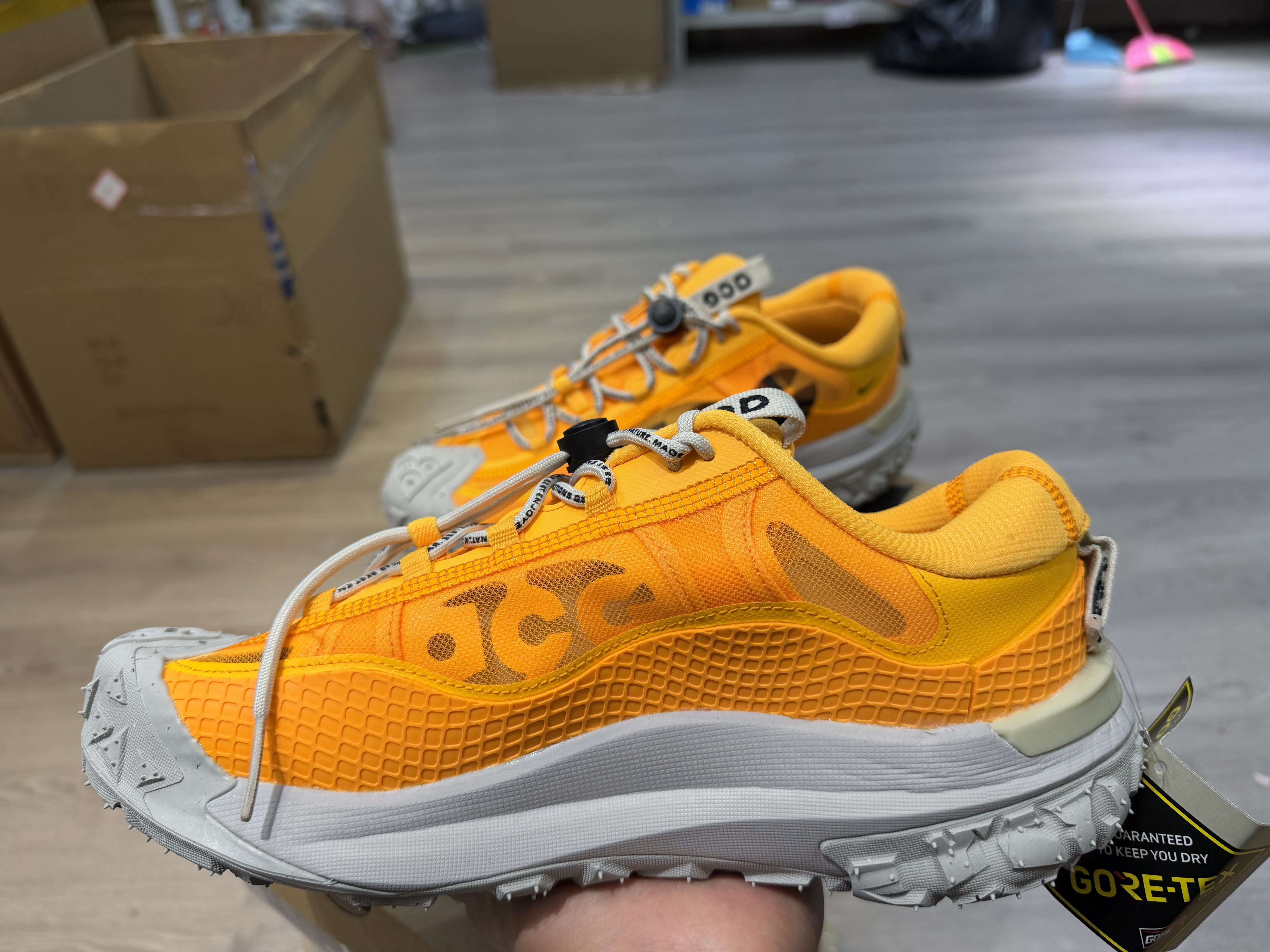 Nike ACG Mountain Fly 2 Low