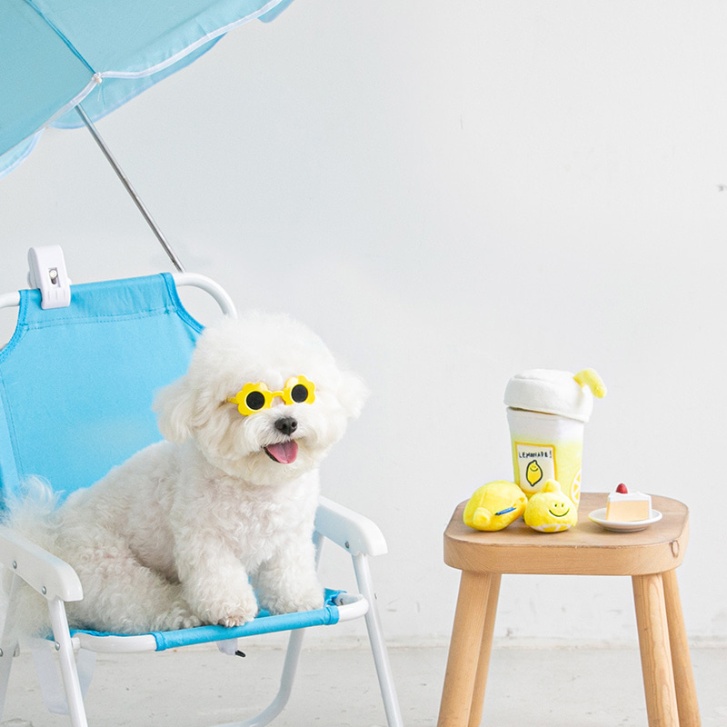 *預購 BiteMe🇰🇷 Second Morning 檸檬汽水藏食玩具