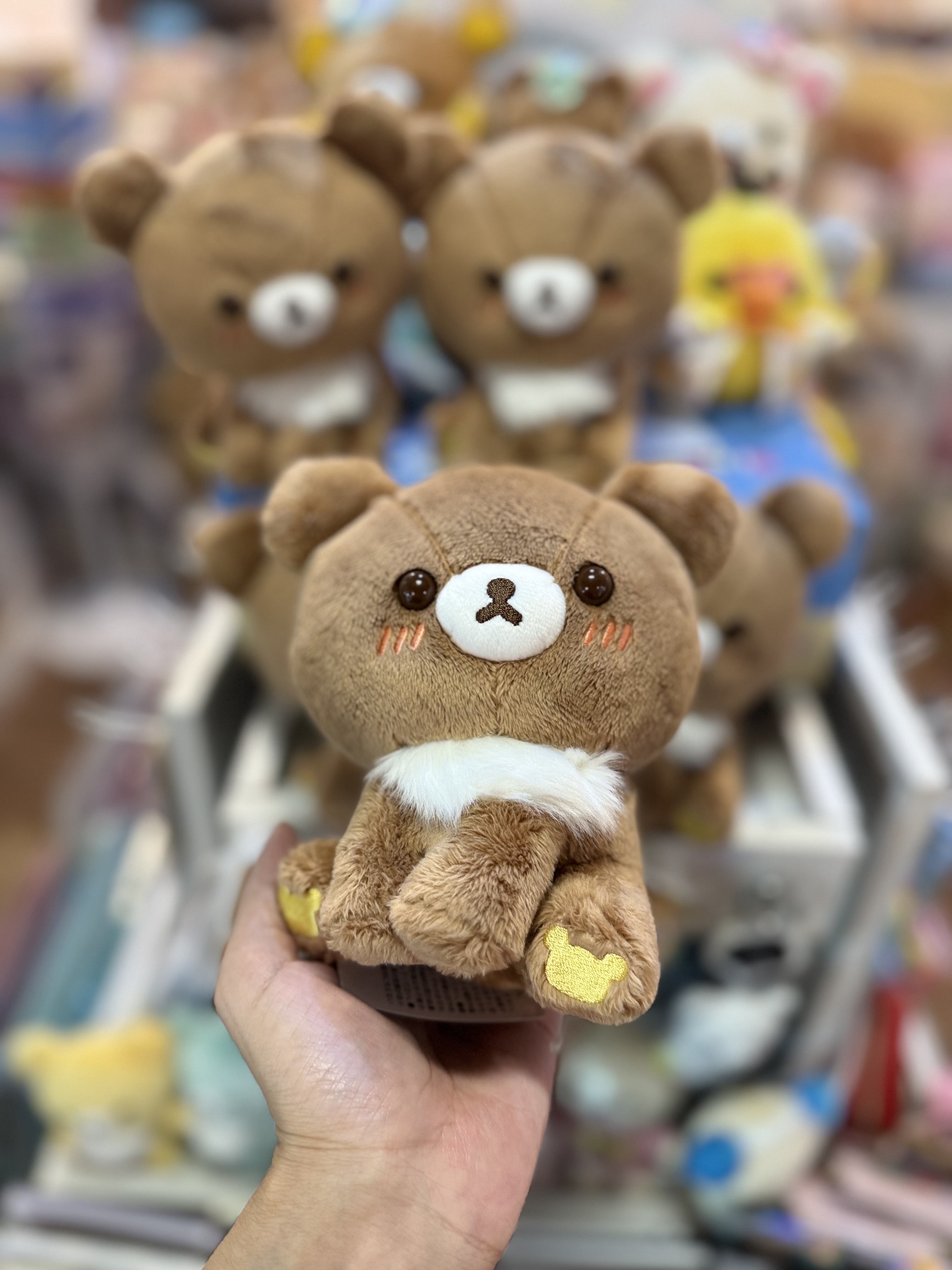 《現貨》全新日本專店限定小熊10週年 側坐小熊公仔