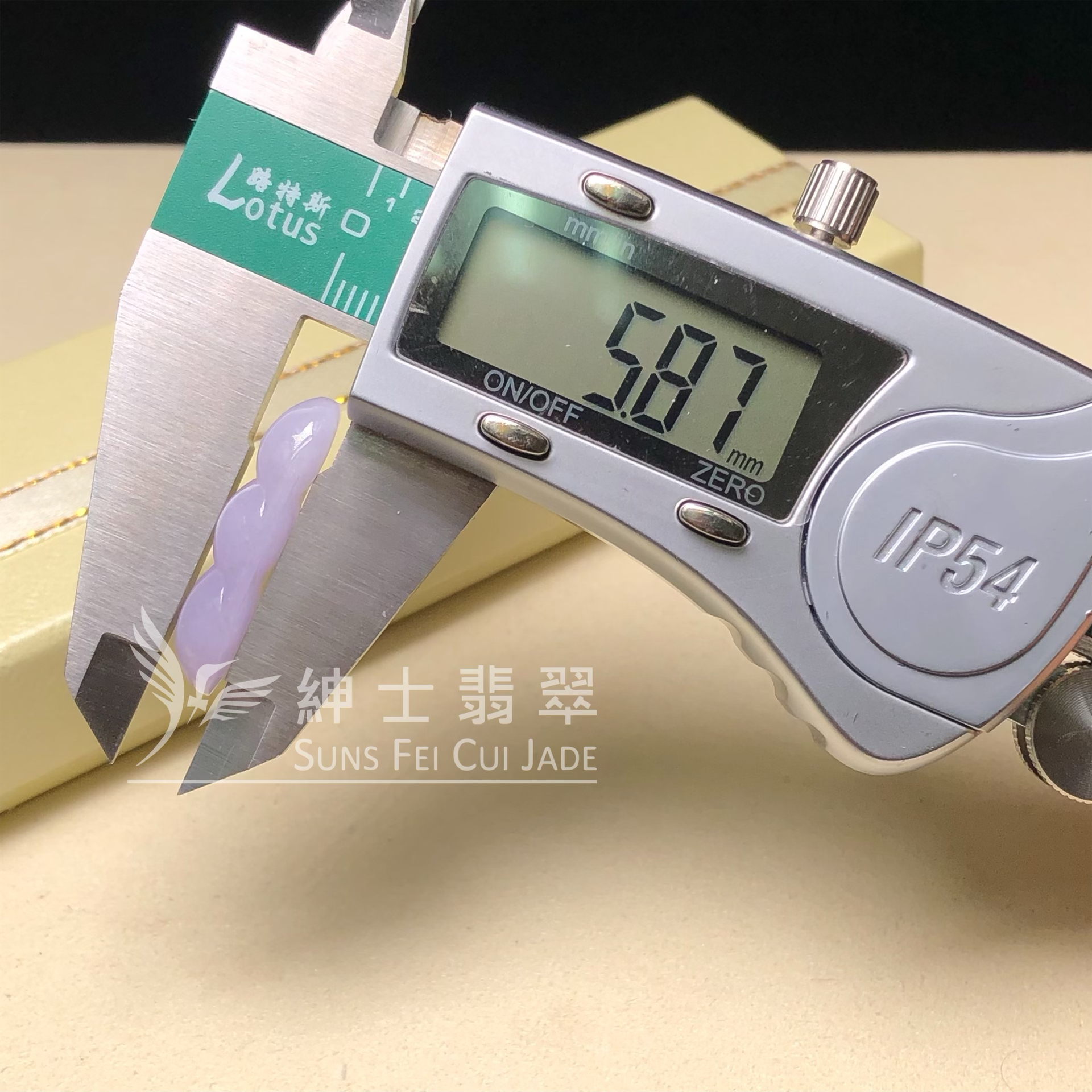 B09041 紫羅蘭福豆