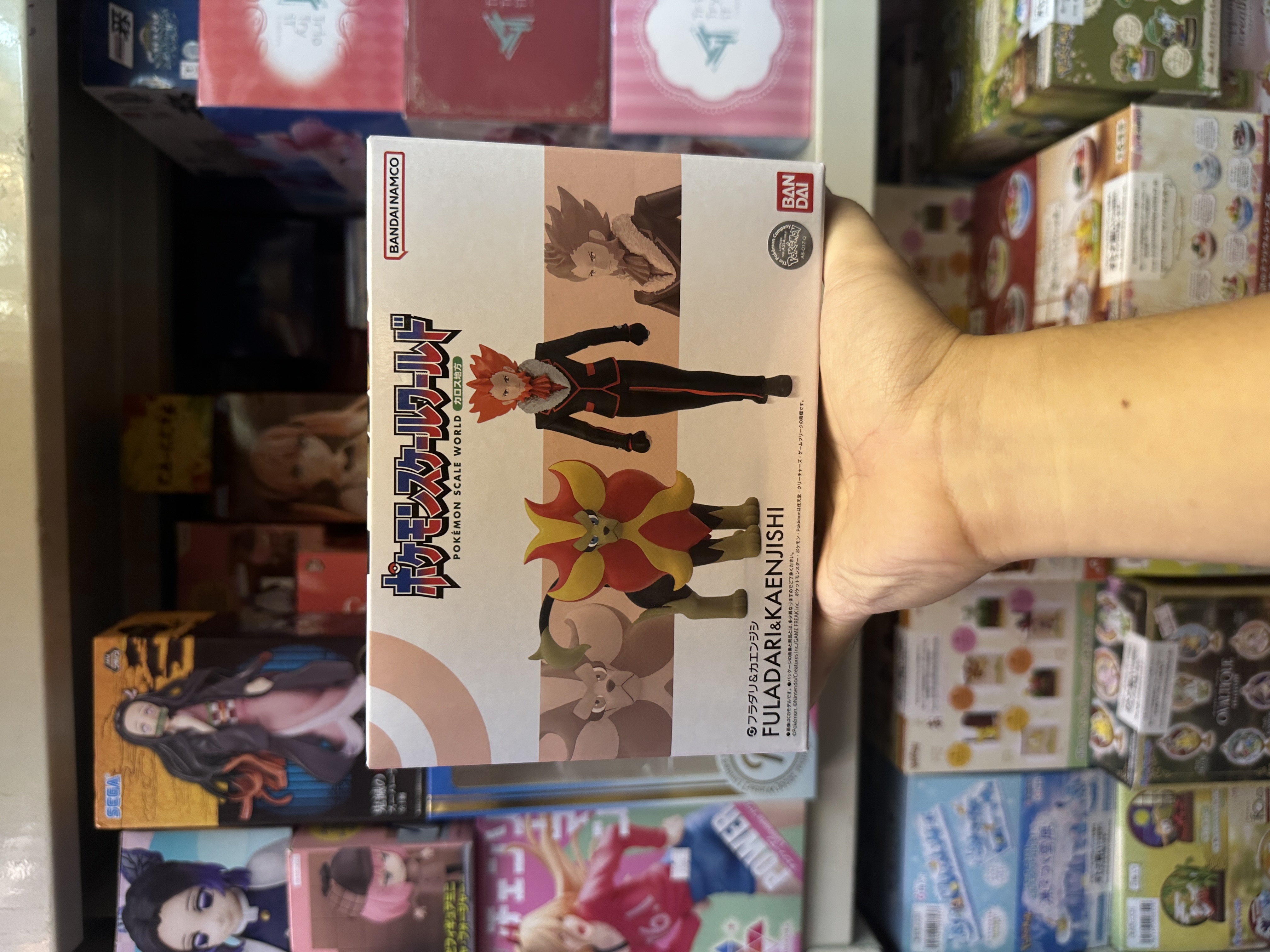 現貨 Bandai 食玩 Pokemon Scale World 卡洛斯地區 弗拉達利 & 火炎獅