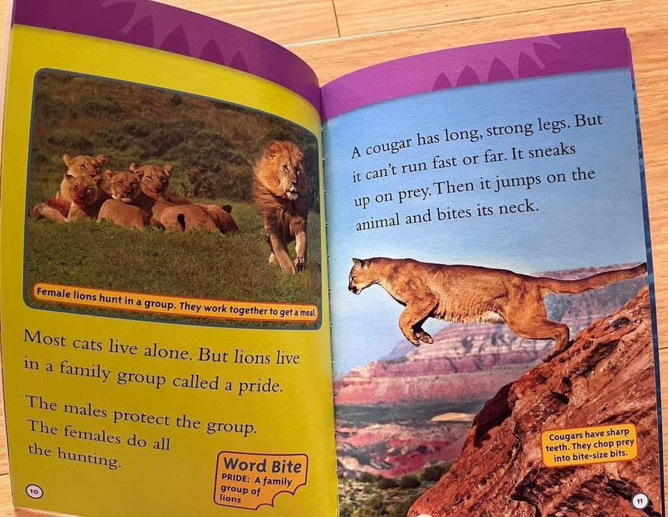 National Geographic Kids Level 2 國家地理分級讀物 第二季 L2 兒童百科書｜25 books｜點讀版