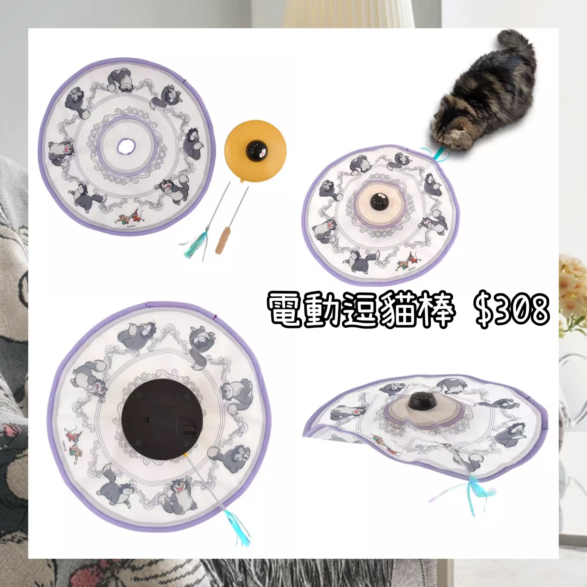 ：日本：DISNEY CAT DAY 2026 2/2 日本發賣 電動逗貓棒