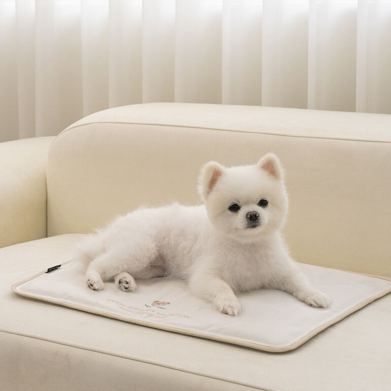 *Bailey🇰🇷泰迪熊冰涼墊