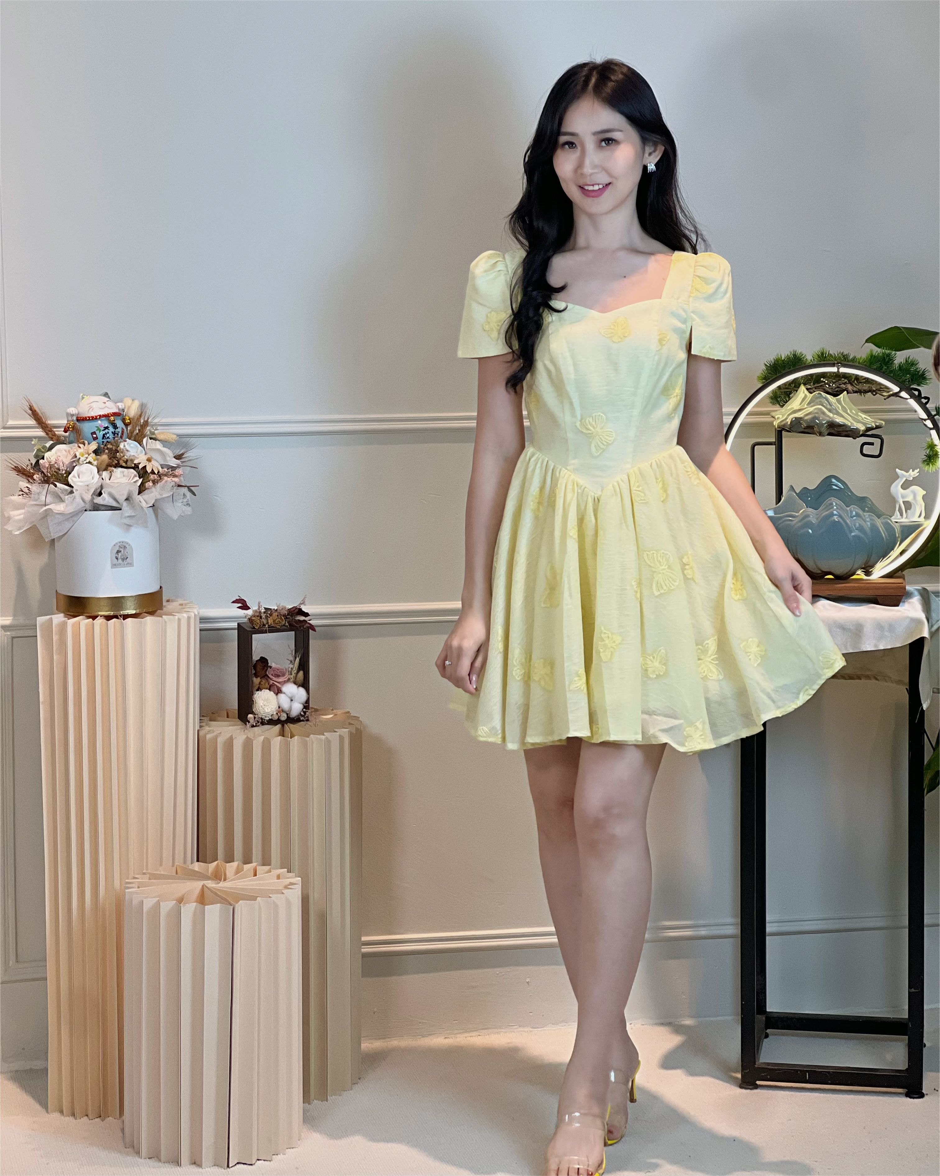 5101 Evangeline Embroidered Butterfly Mini Dress