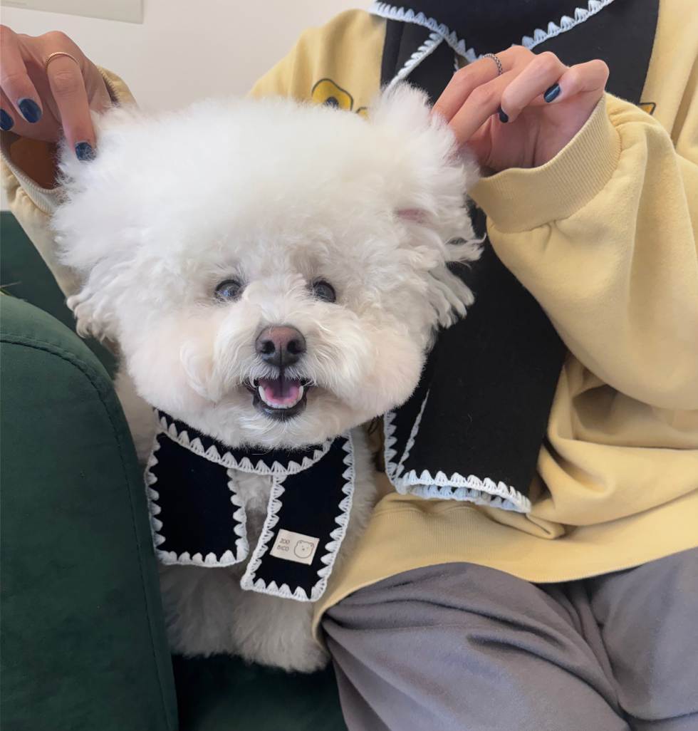 🇰🇷100% 純羊毛冬季暖心圍巾 (主人與毛孩親子組)