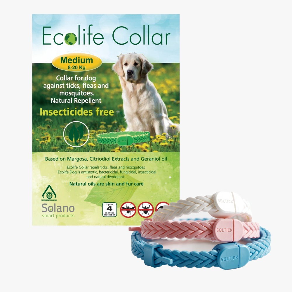 Solano｜Ecolife Collar 純天然犬用 (8-20kg) 驅蚤頸帶 (白色) (4個月有效)