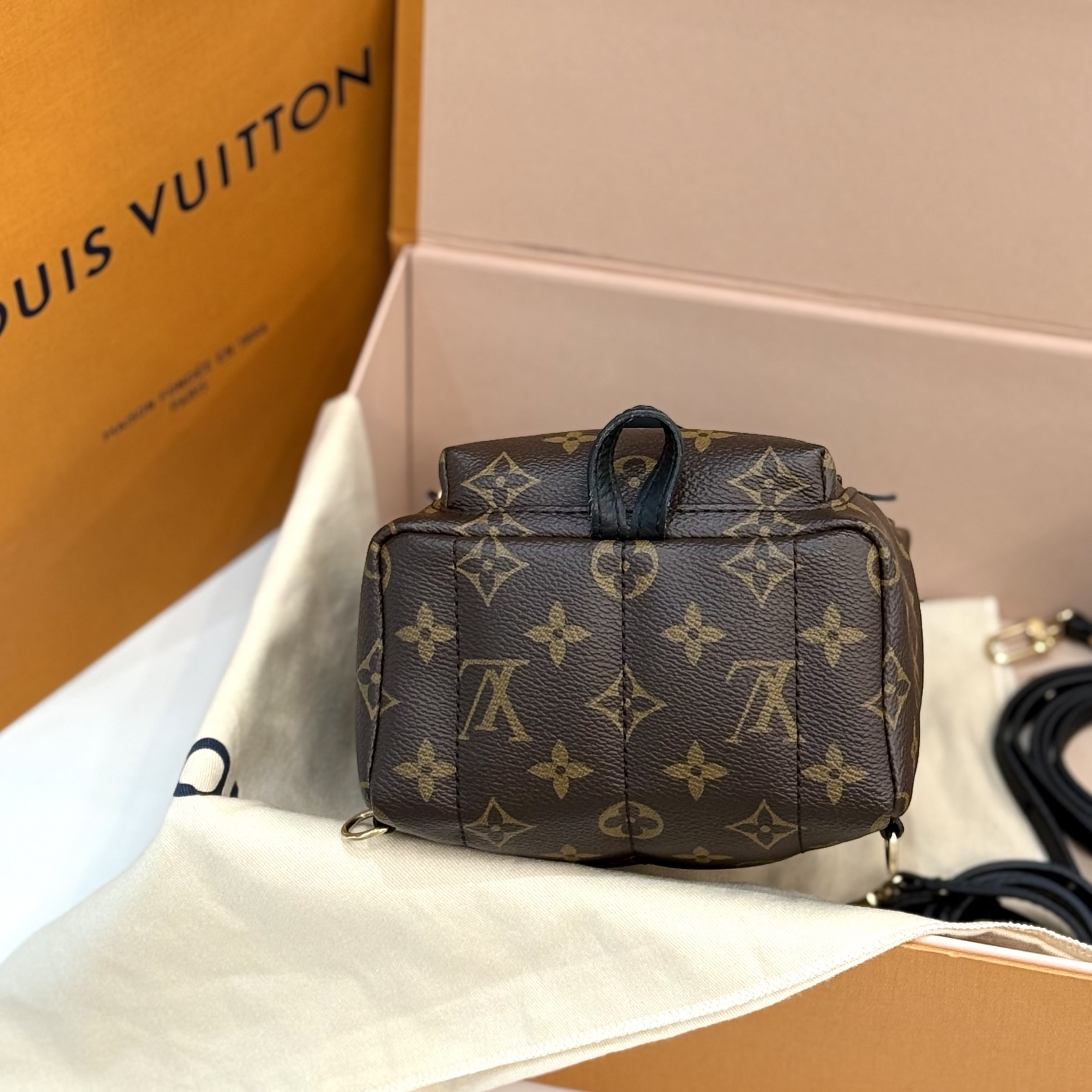 【預訂貨品】LV老花plam springs迷你書包 