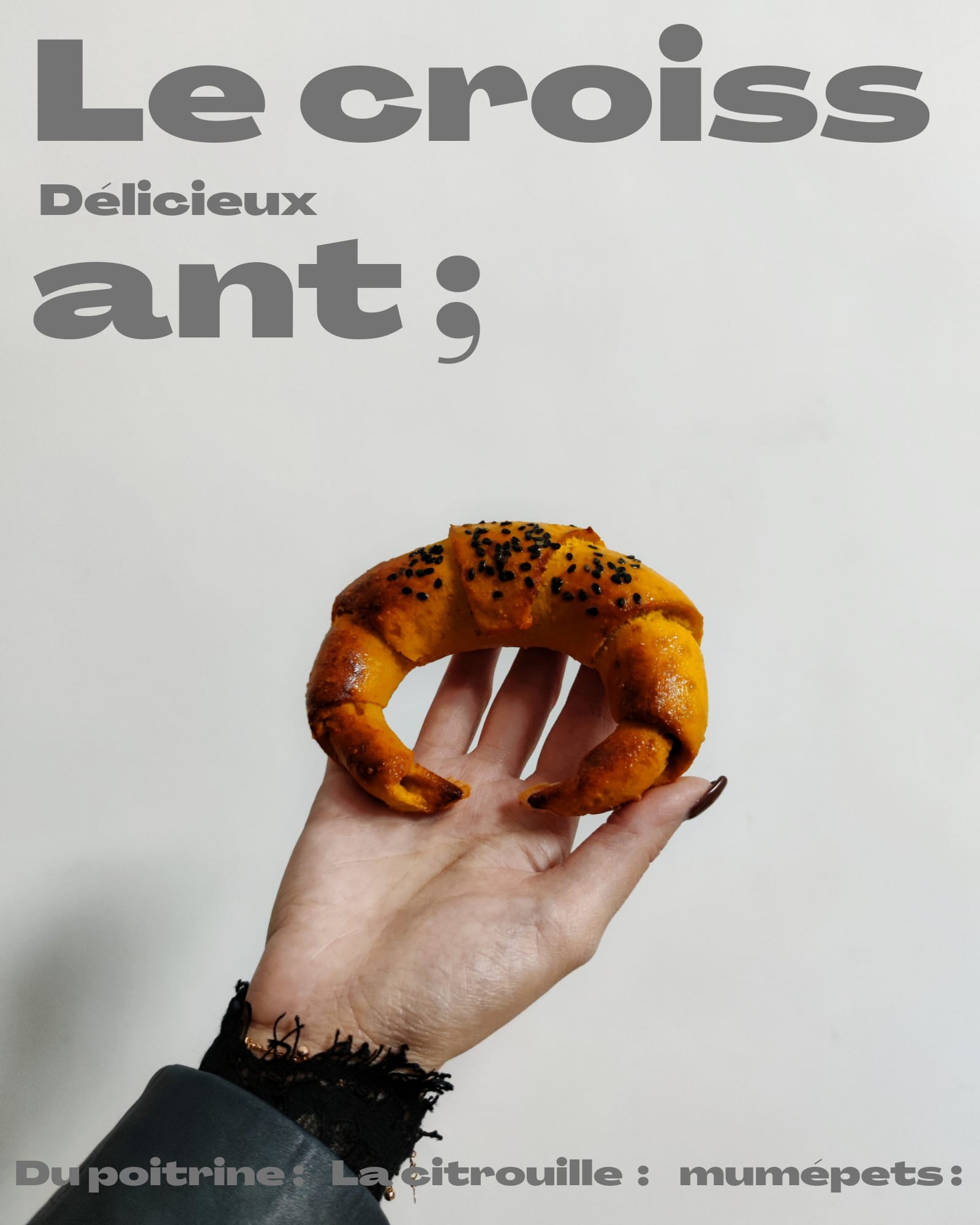 珍寶寵物鮮食牛角包