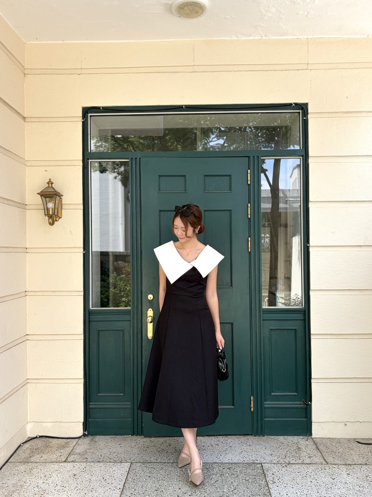 Celine Contrast Collar Dress