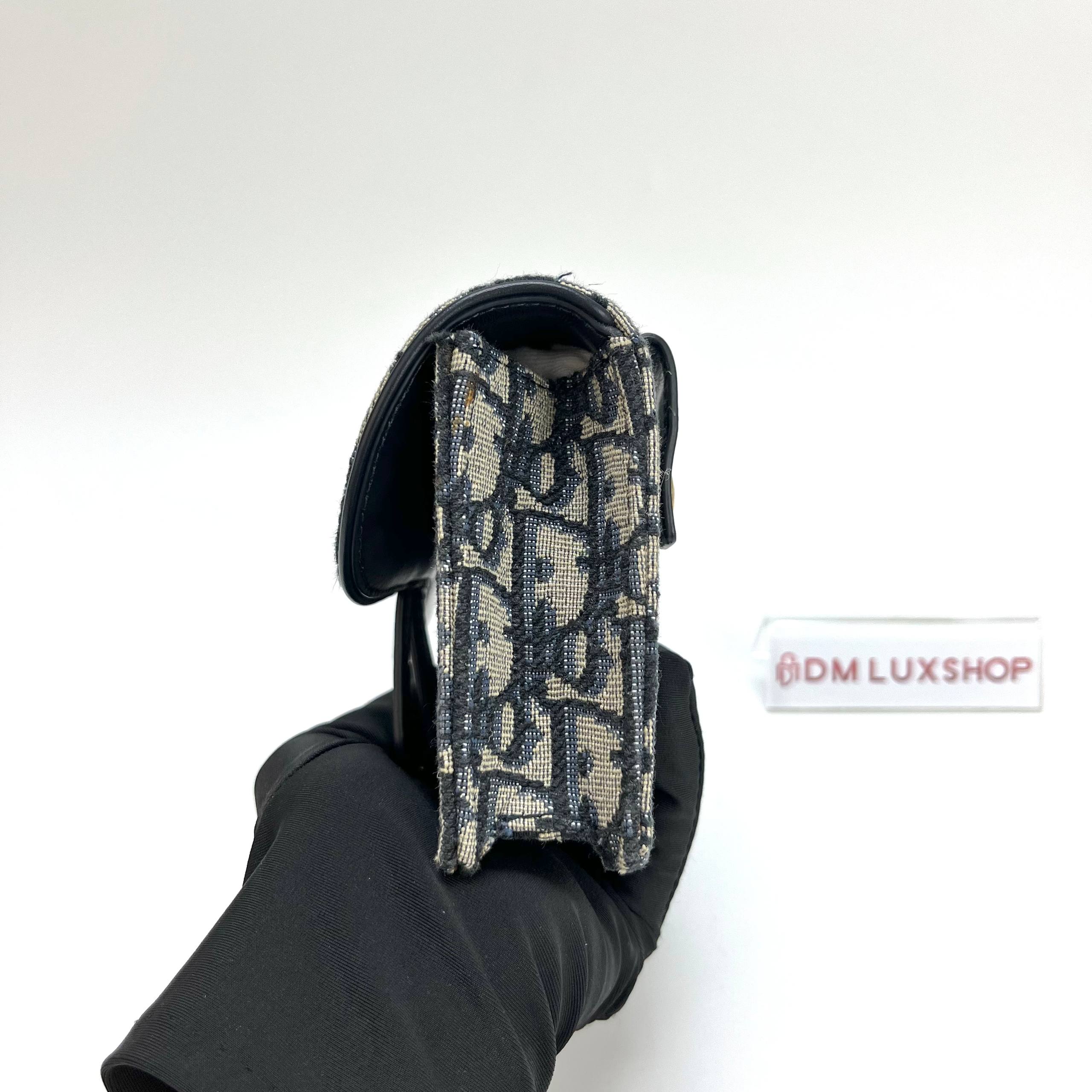 Dior Oblique Saddle Belt Bag GHW