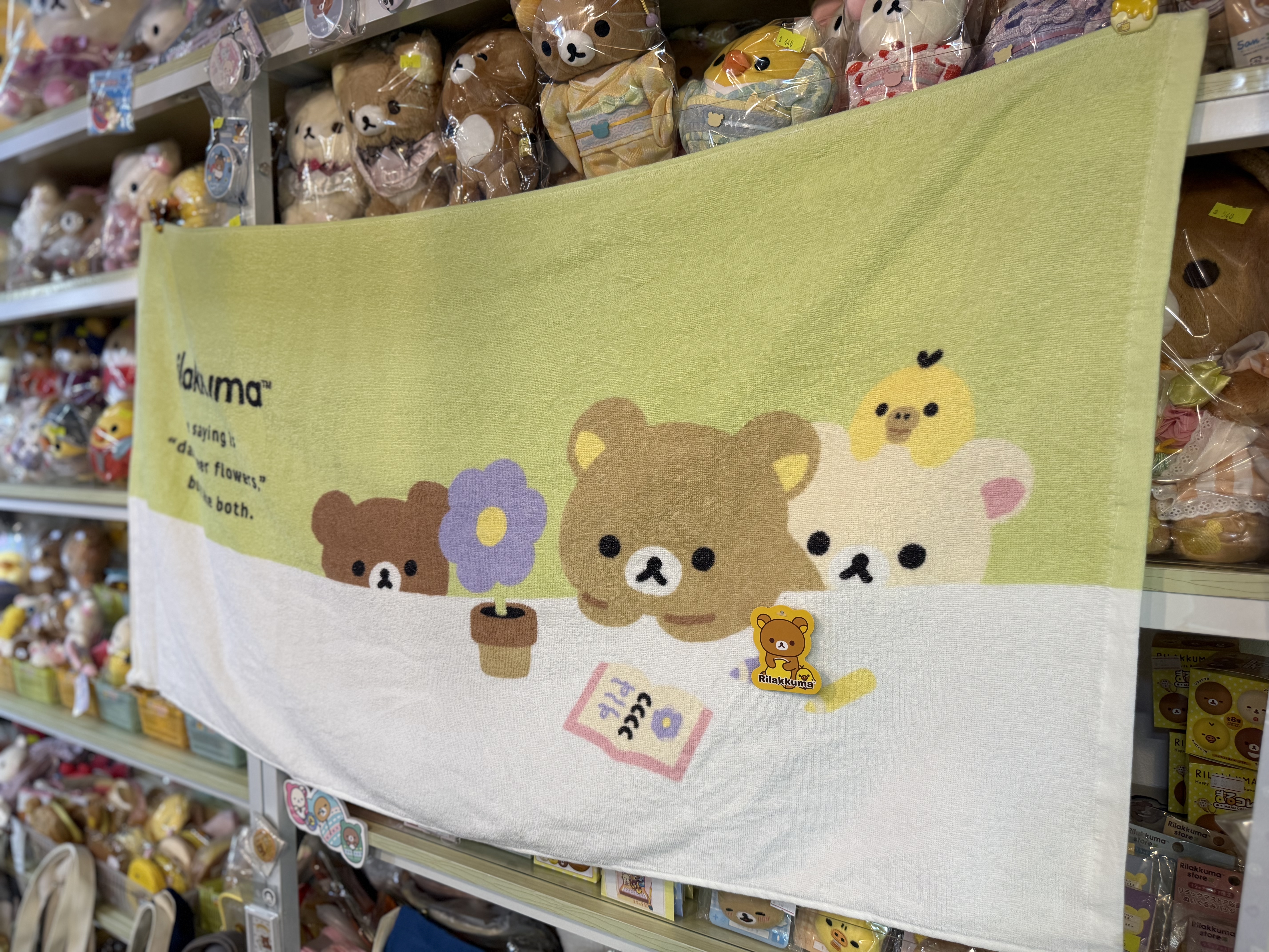 《現貨》全新BASIC RILAKKUMA Flower系列 長毛巾。浴巾