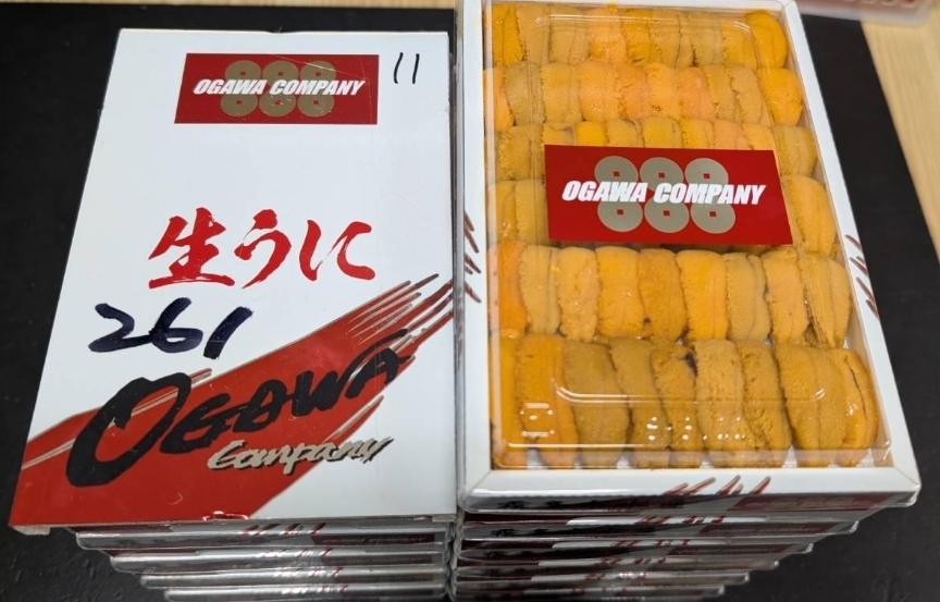 日本霧多布直排馬糞海膽