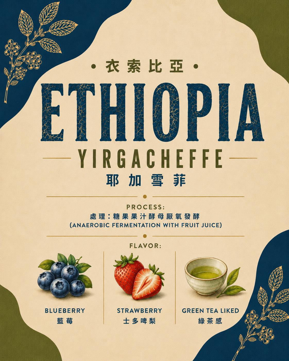 【衣索比亞Ethiopia】Yirgacheffe 