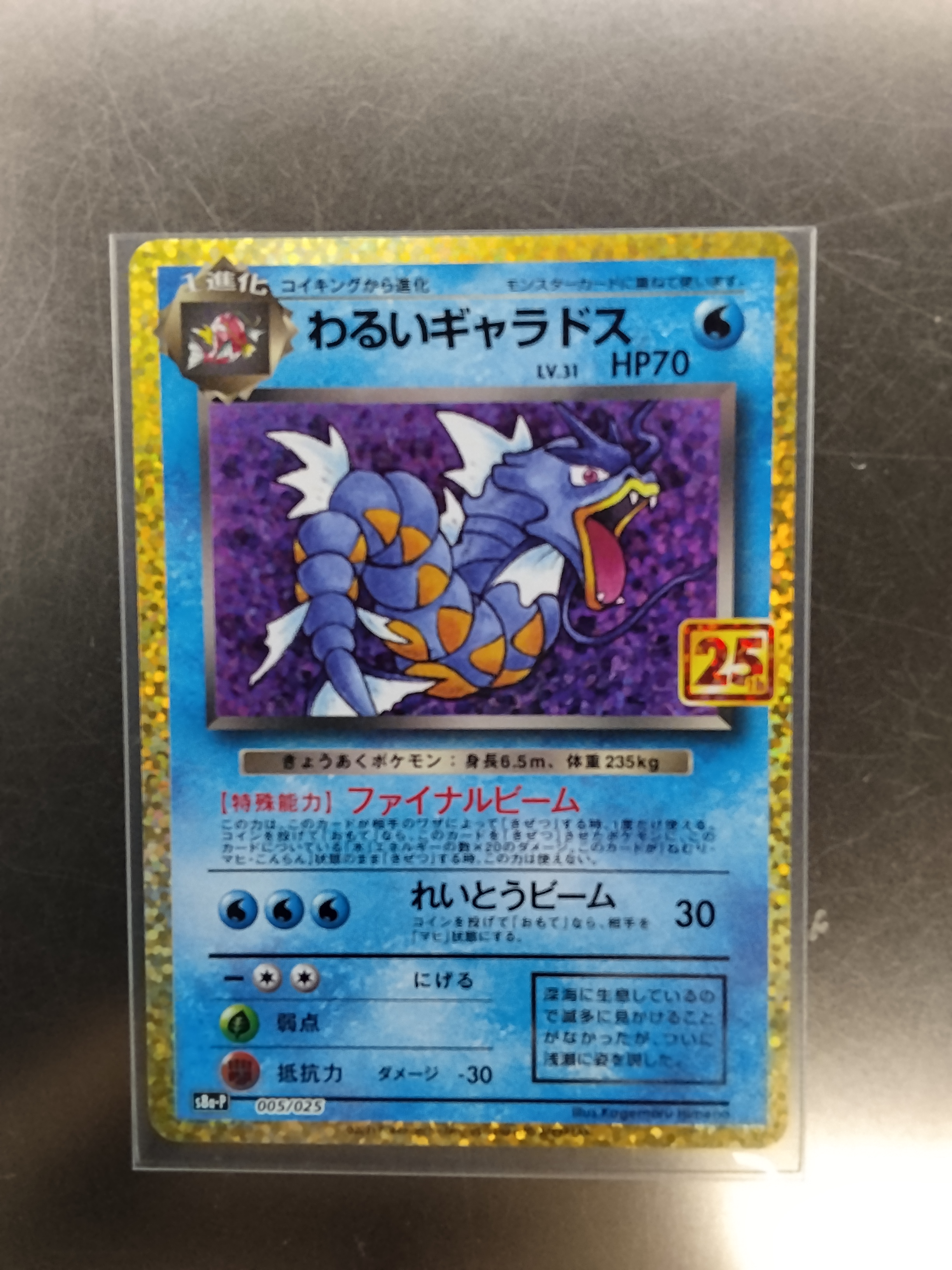 2021年 寶可夢 日版 惡系暴鯉龍 閃卡 25週年紀念版 raw card 