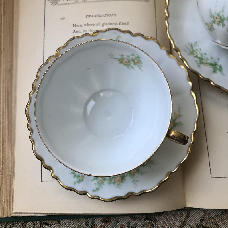 Antique 1889-1918 Made in Austria Hand-painted Floral Tea Set Duo Pair(MT086)