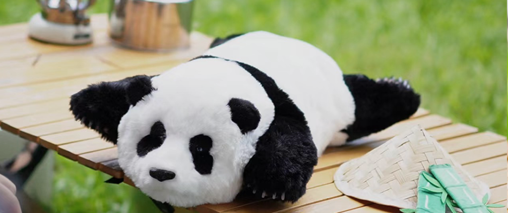 metaPanda 2024