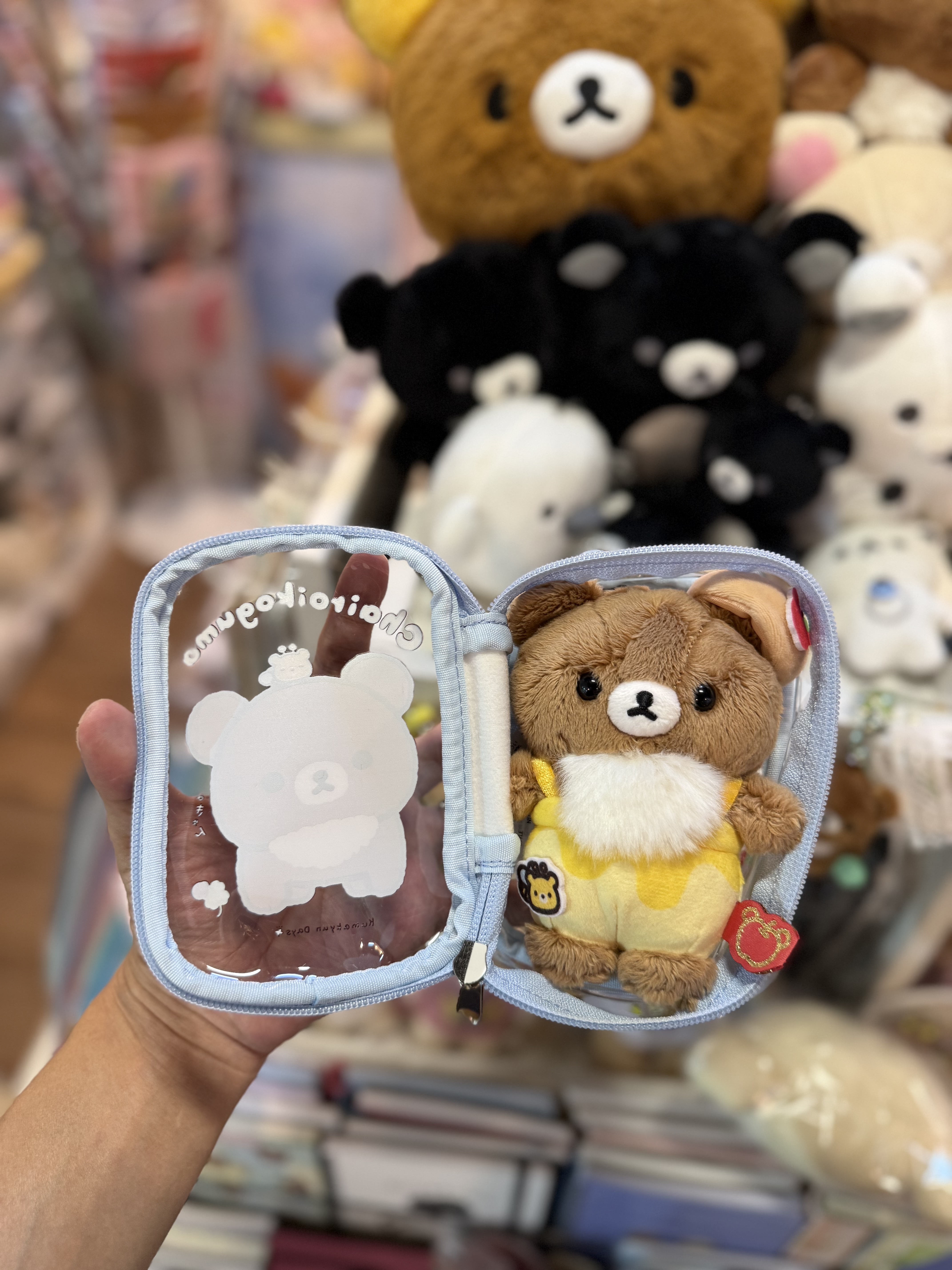 《現貨》全新日本限定小熊10週年紀念系列 茶小熊痛袋