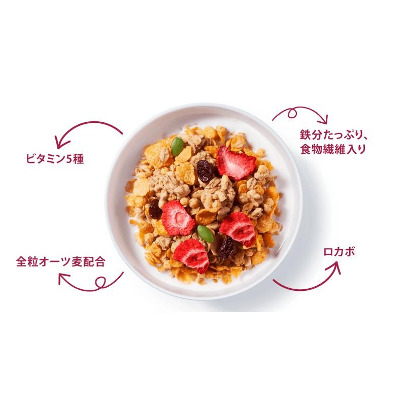 Kellogg's 日本家樂氏草莓穀物早餐 430g  Exp Date : 2027.02