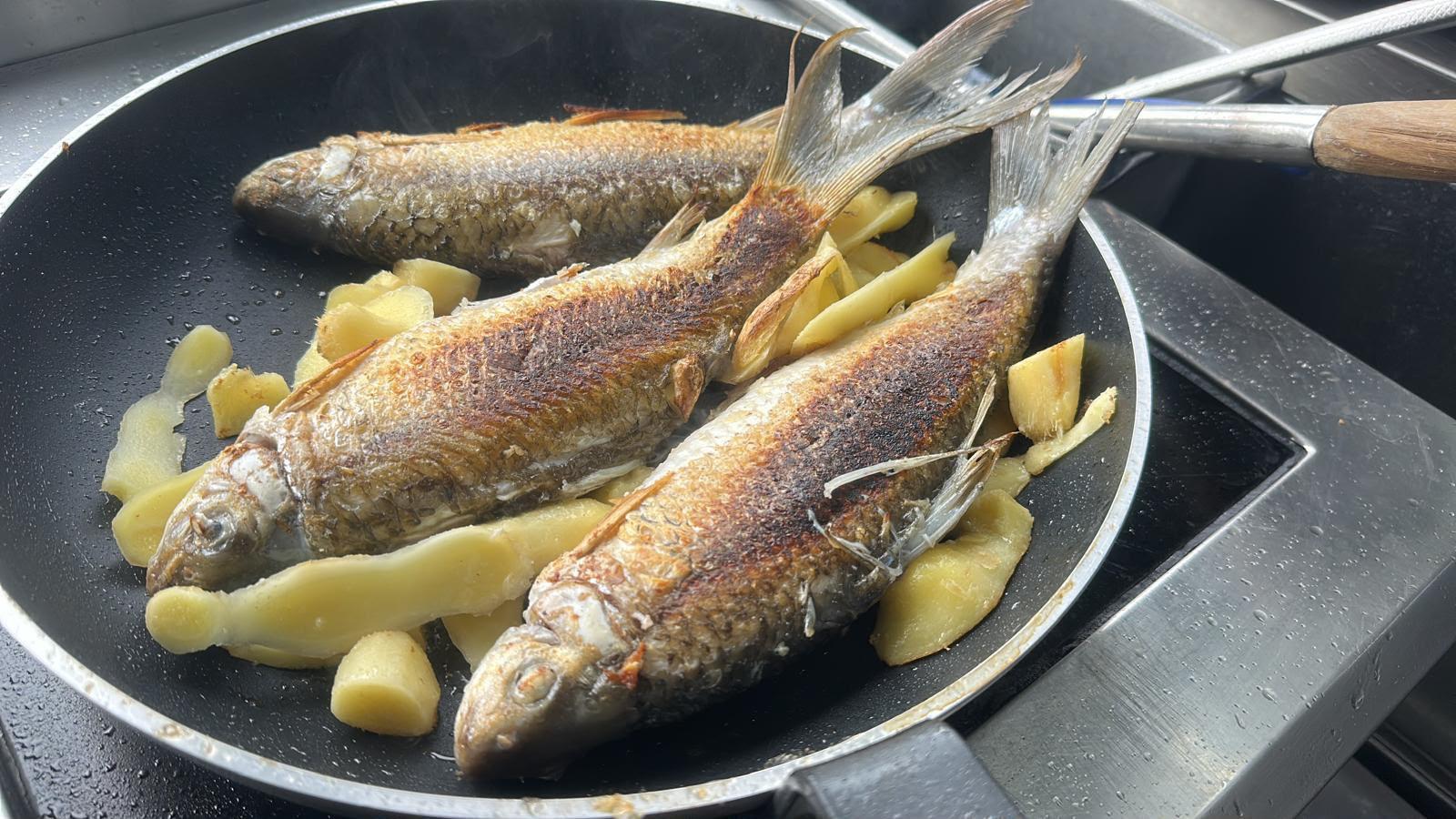 🚗Carmen 媽媽 養生愛💝靚湯 土茯苓粉葛鯪魚南豆 赤小豆湯450g +- (足2碗🥣）