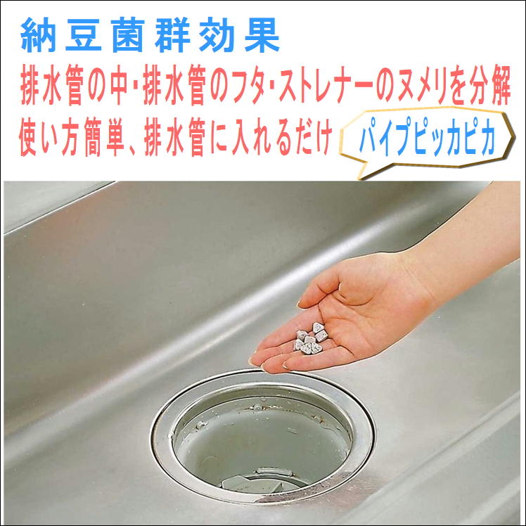 日本製BIGBIO納豆菌排水管除臭去污清潔錠
