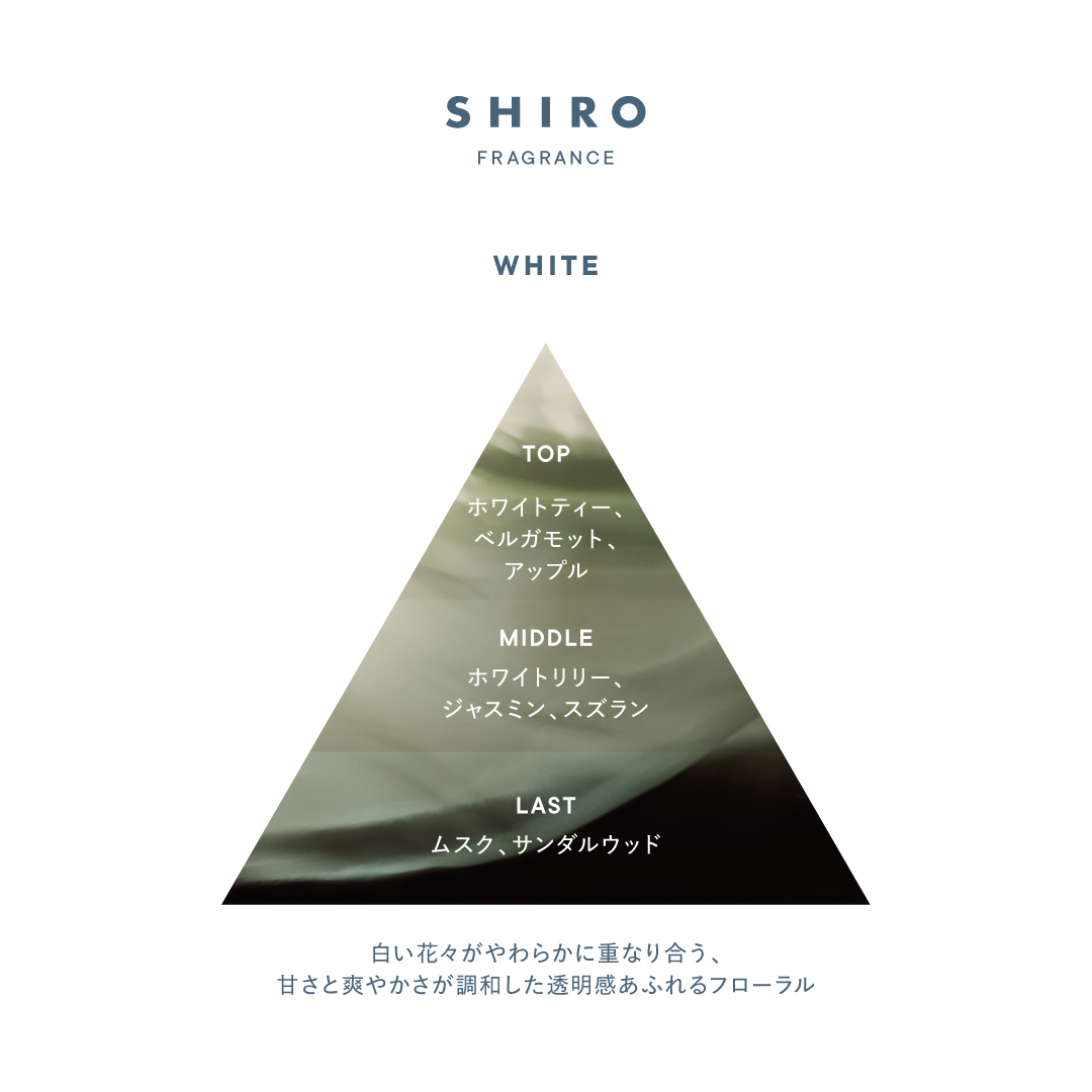 【限量發售】【✨️日本🇯🇵 SHIRO White 系列 Hand Serum 護手精華乳✨️】55g