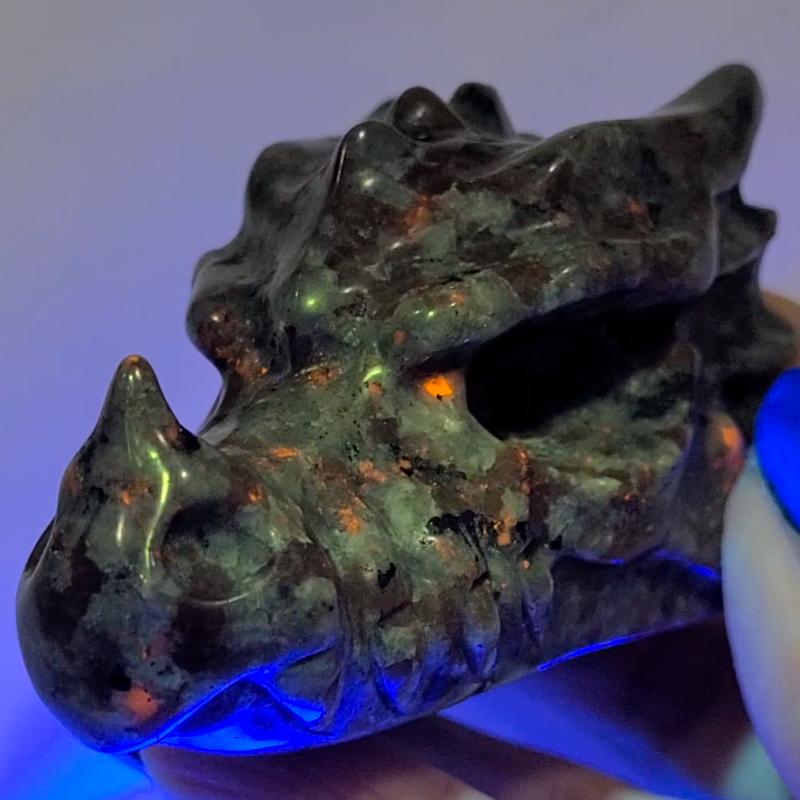 "Yooperlite" fluorescent sodalite dragon skull with UV reaction.