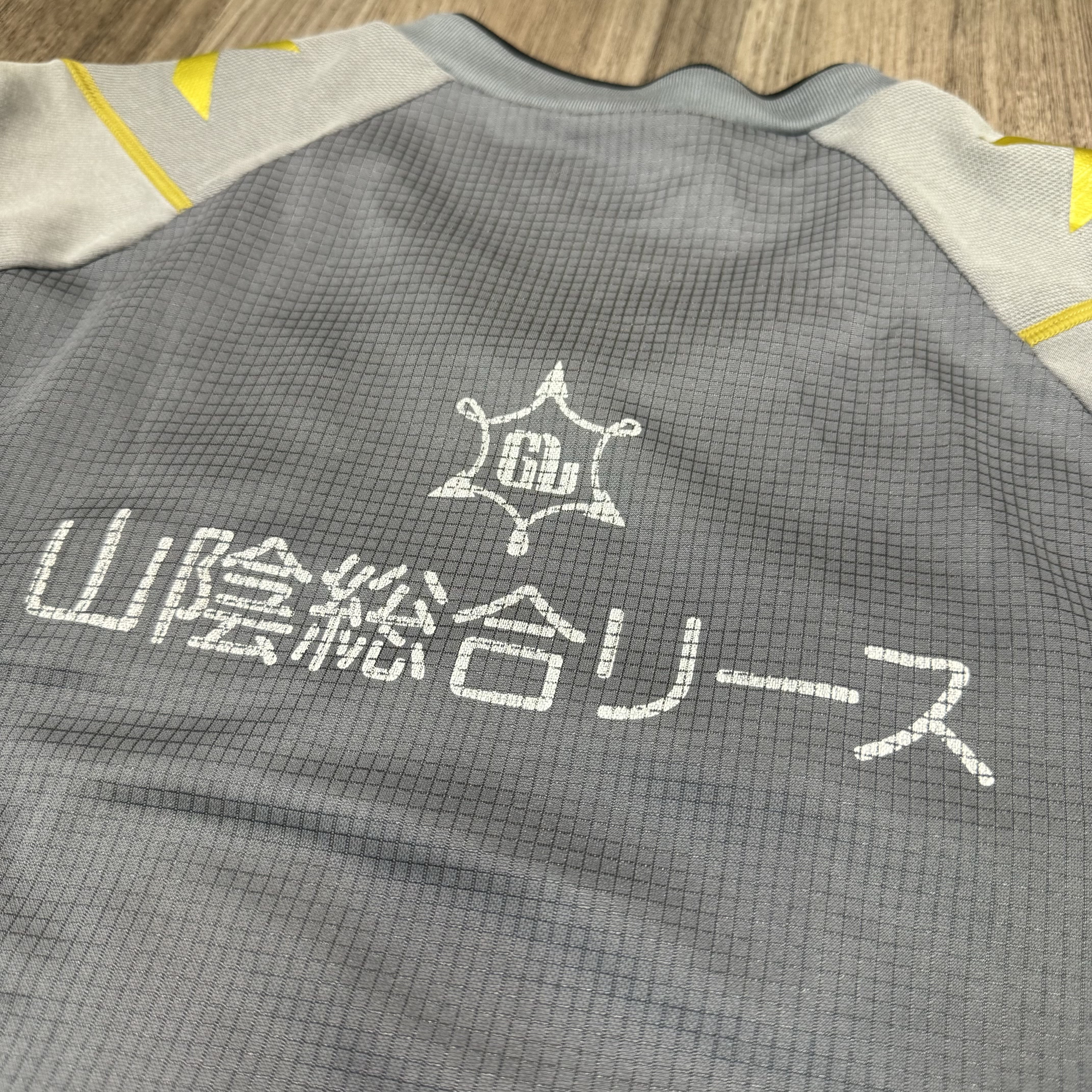鳥取SC SC tottori player issued/worn training shirt #22