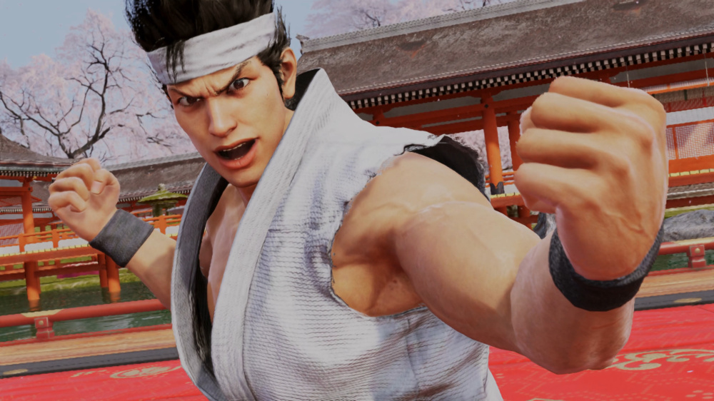 NS2 Virtua Fighter 5 R.E.V.O. World Stage
