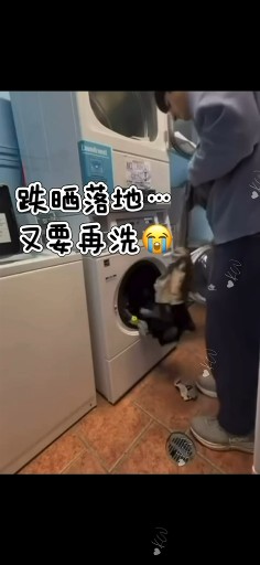 $88件。2件起$78件。Perfect Fit洗衣機防漏網