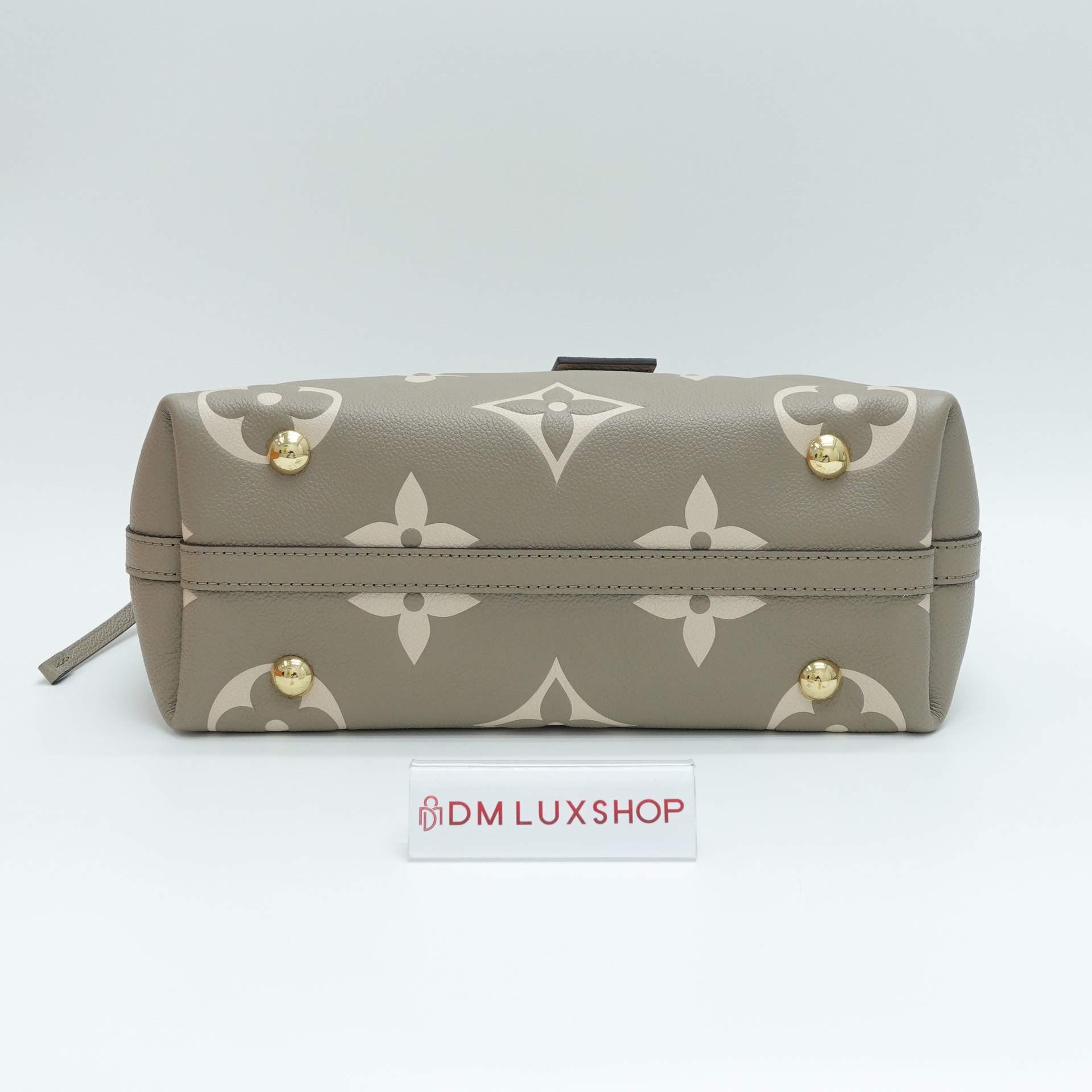 LV Bicolour CarryAll PM