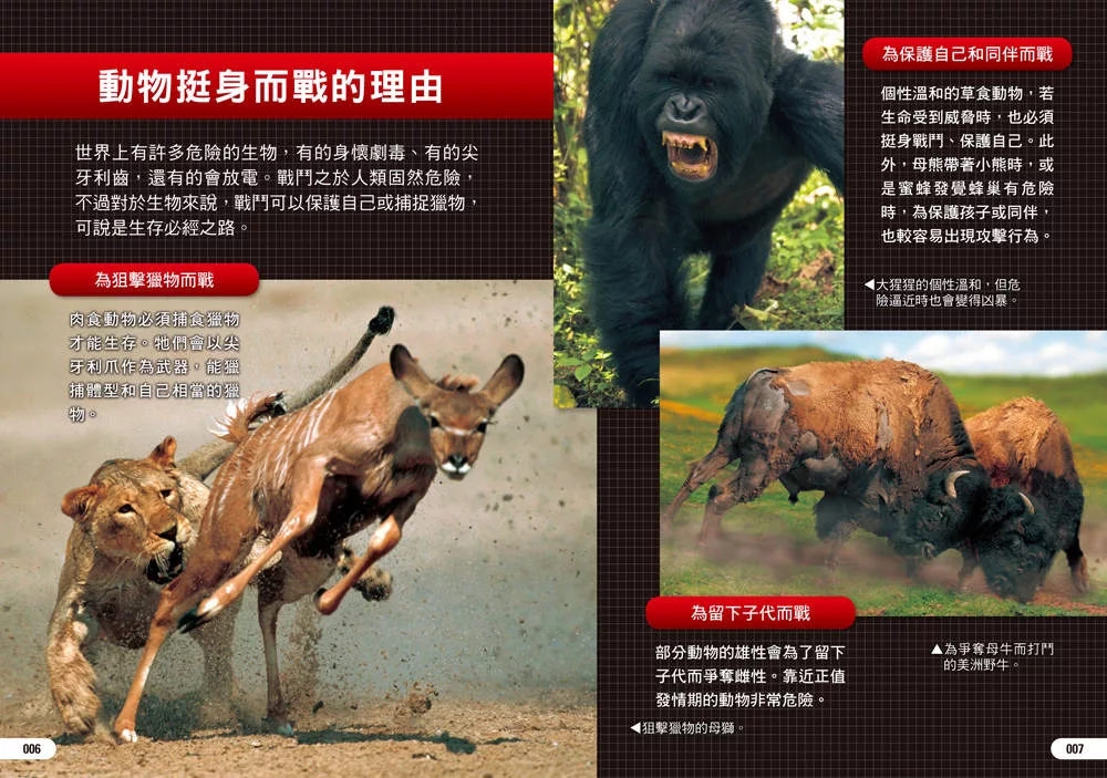 西北國際 危險生物大百科