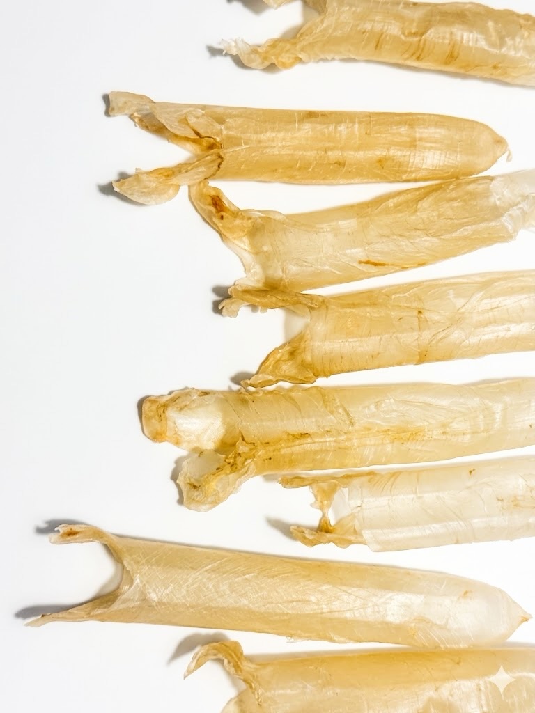 寵物養生花膠
