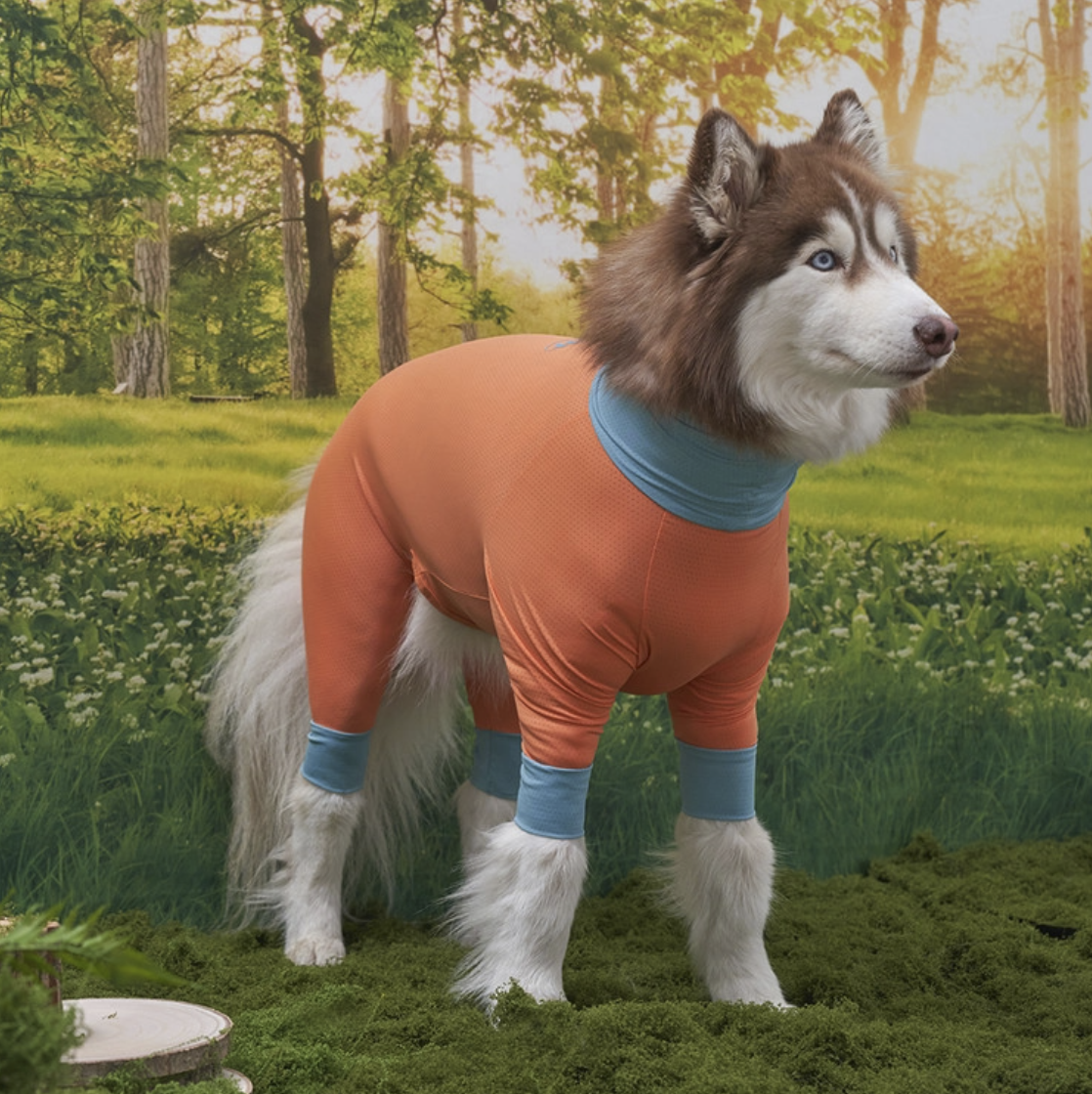 *SuperPet🇰🇷 狗狗全方位防護涼感連身衣(DG414)