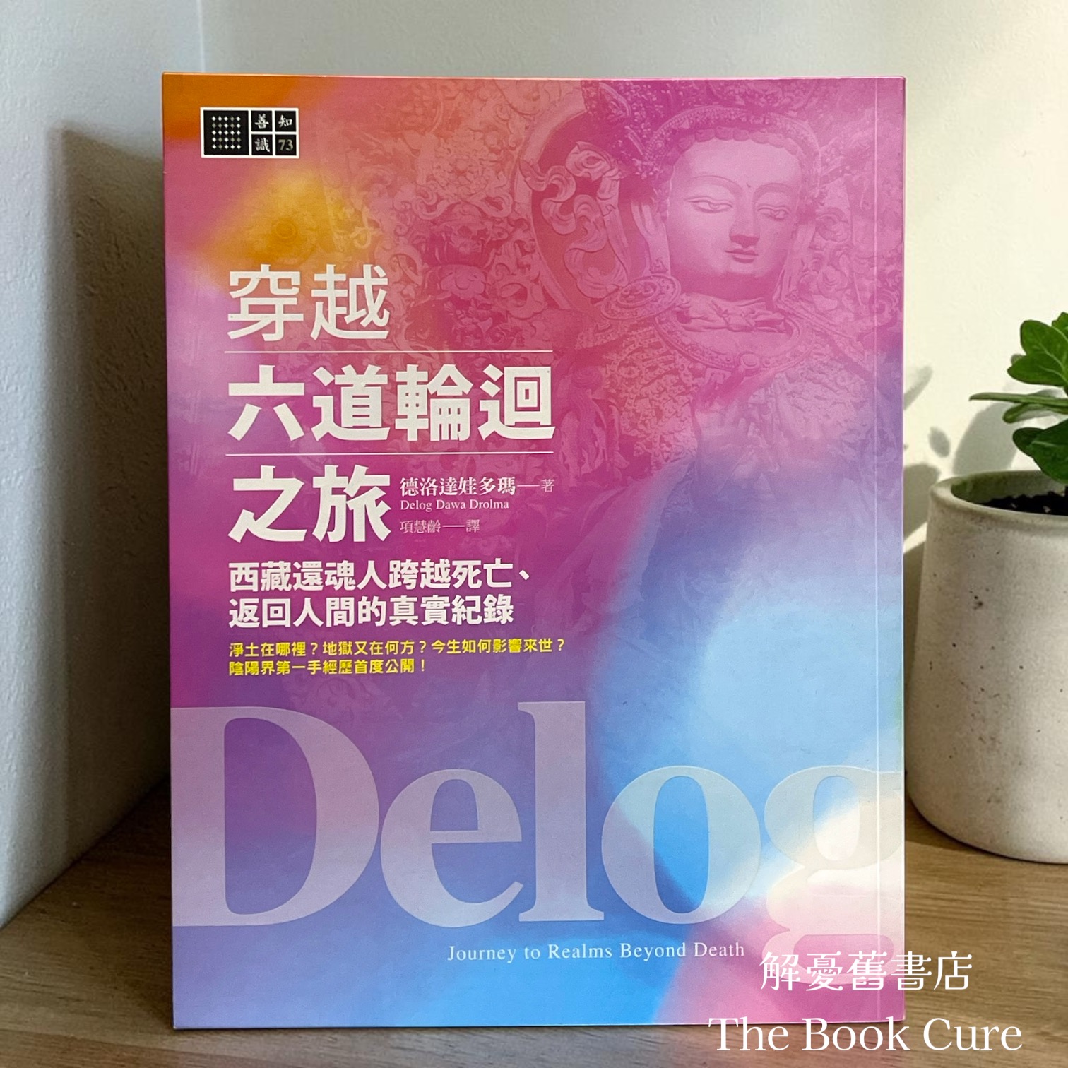 穿越六道輪迴之旅 / 德洛達娃多瑪 著
