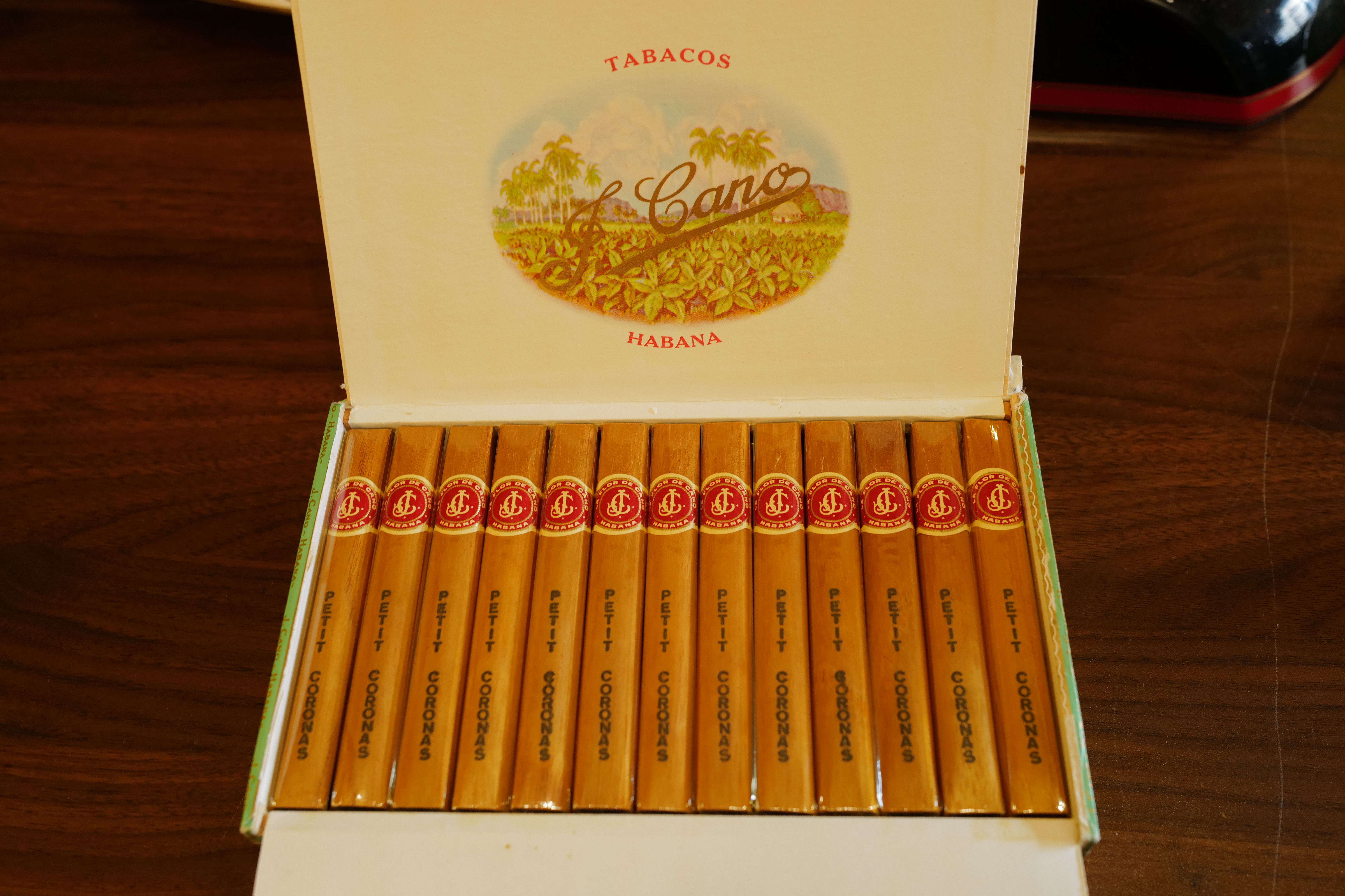 LA FLOR DE CANO Petit Coronas 1980