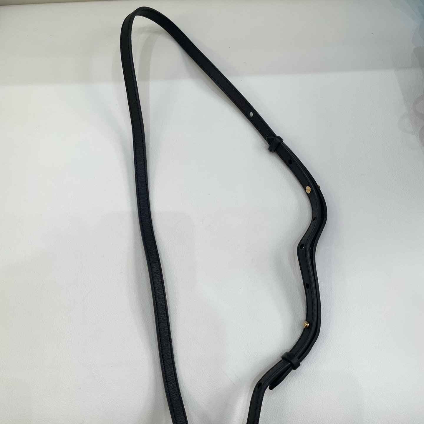 【預訂貨品】LV老花plam springs迷你書包 