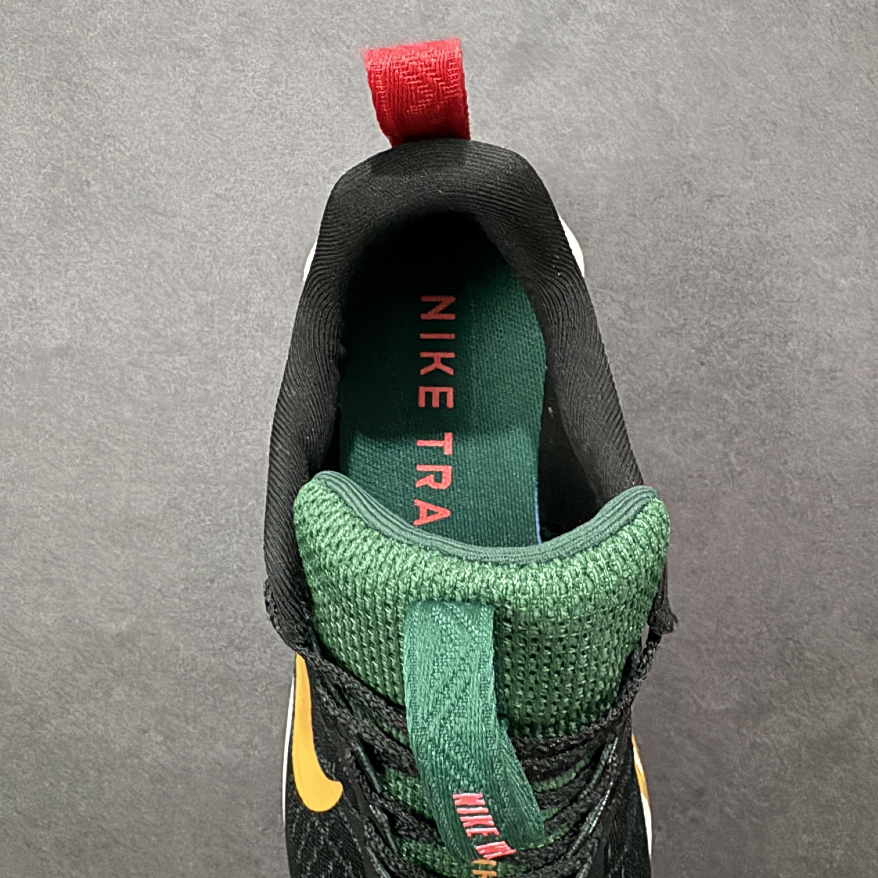 Nike Wildhorse 10 FV2338-005