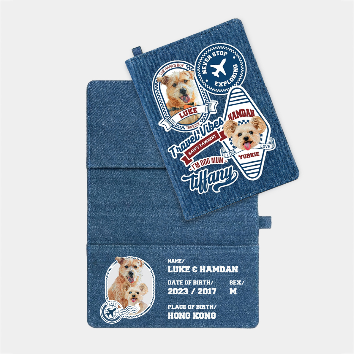 Cargo Style - Passport 套