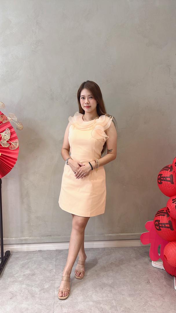 CD2141 DETACHABLE RUCHED COLLAR FIT DRESS